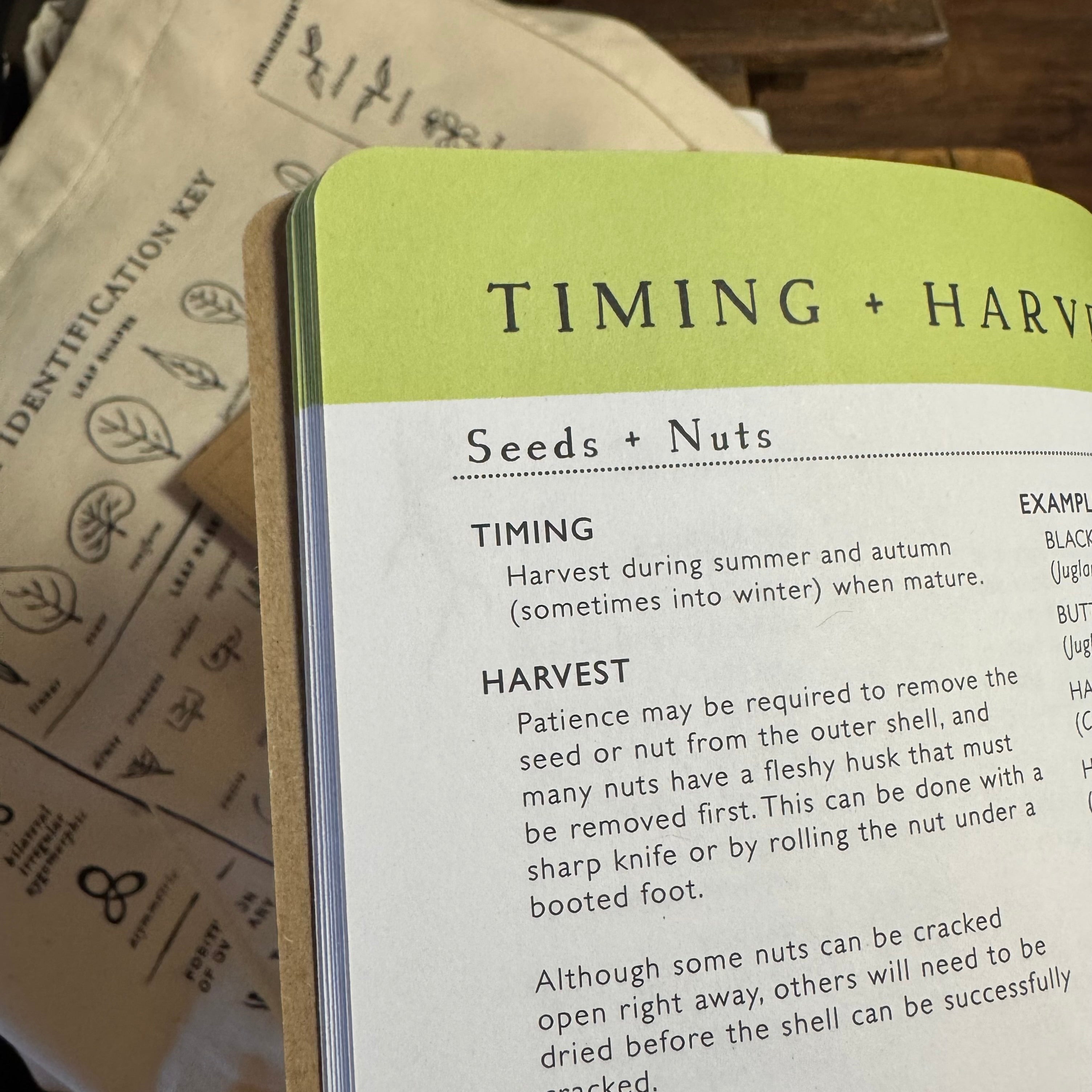 Forager’s Pocket Guides