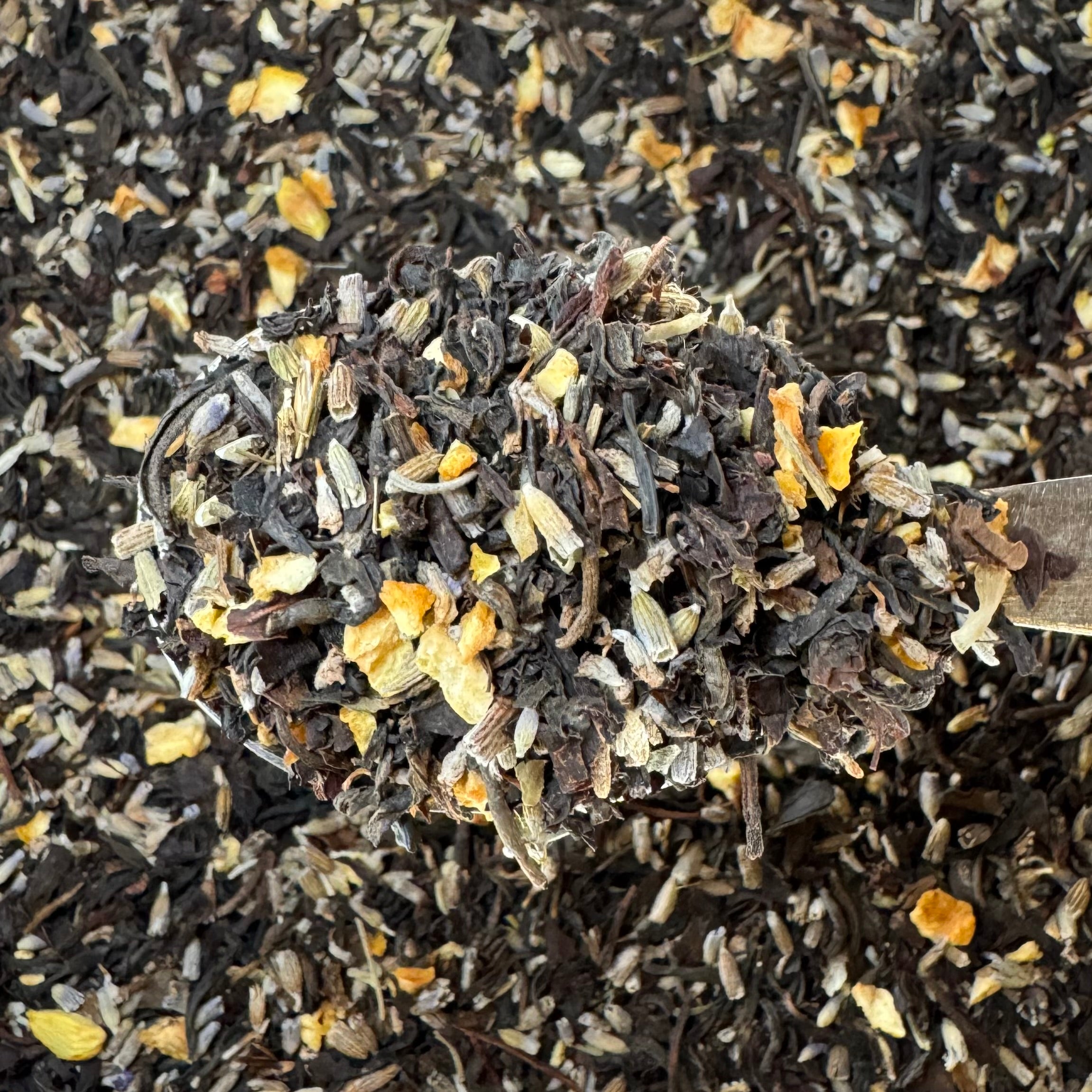 Lady Lavender Black Tea Blend
