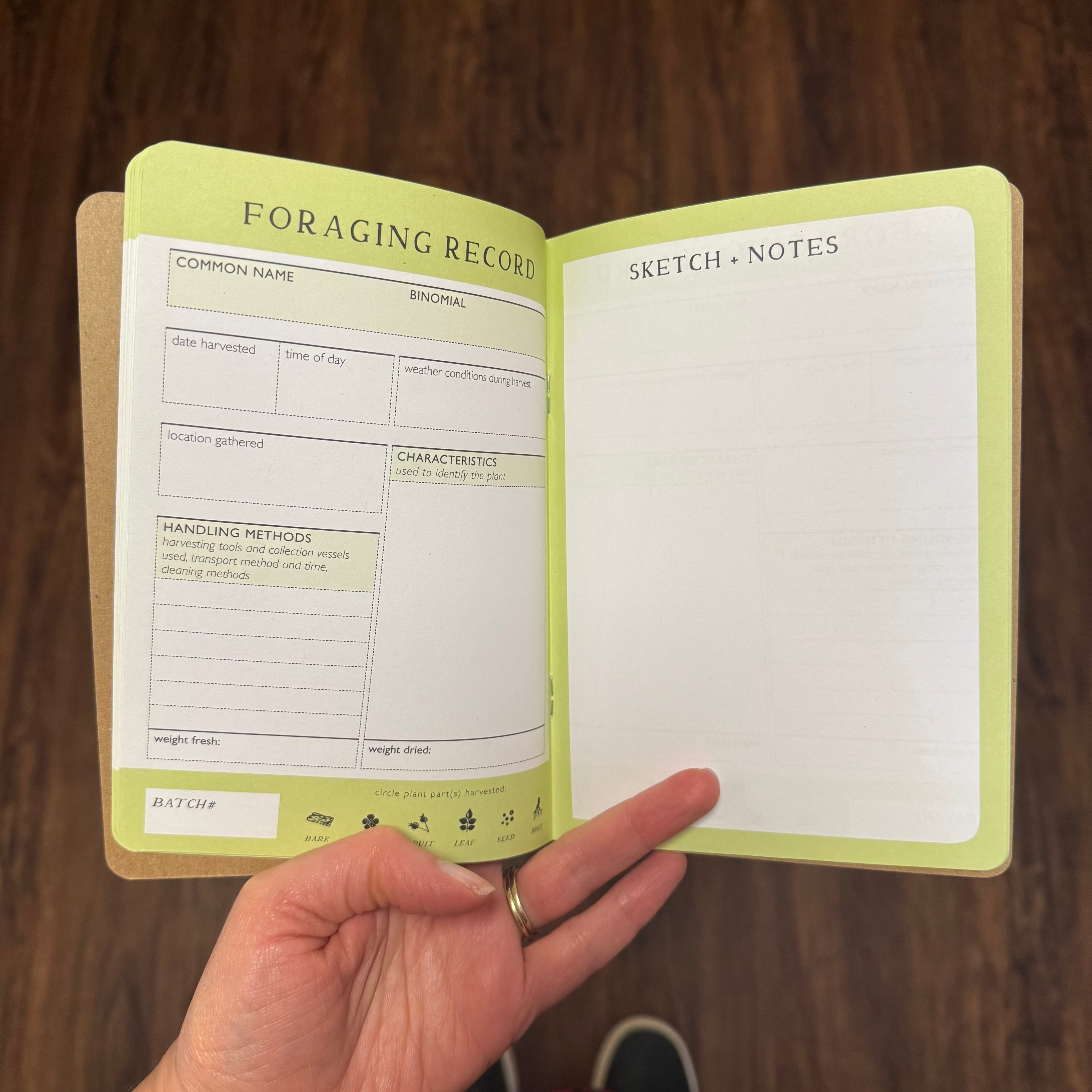 Forager’s Pocket Guides