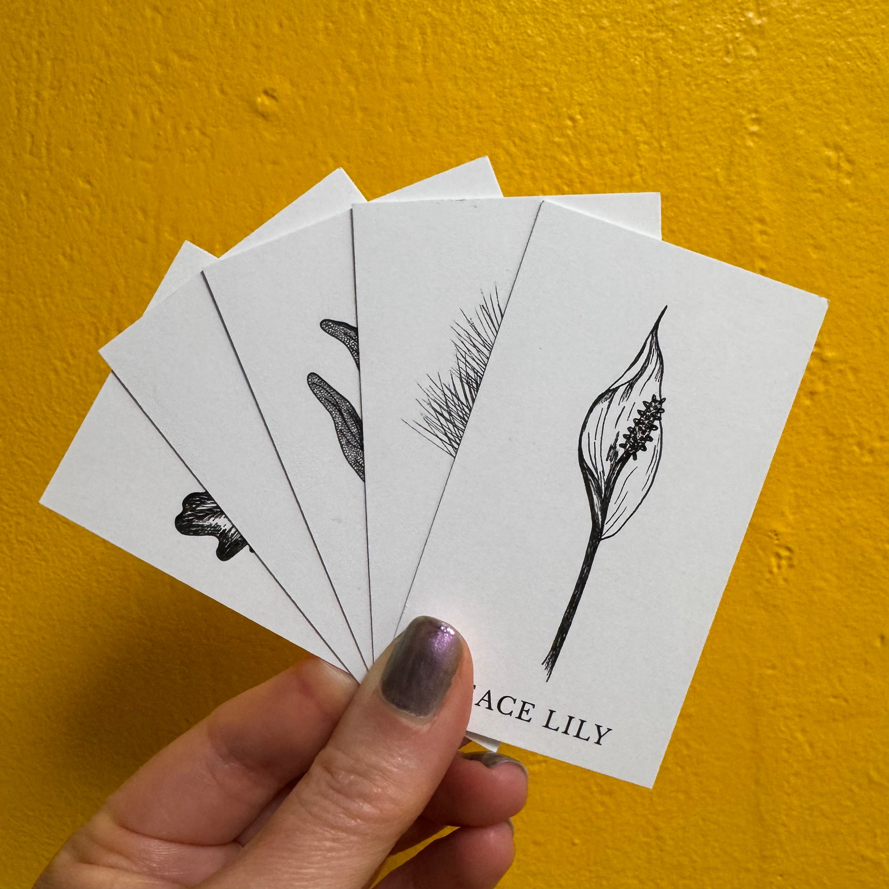 Magic Flowers Plant Ally Cards