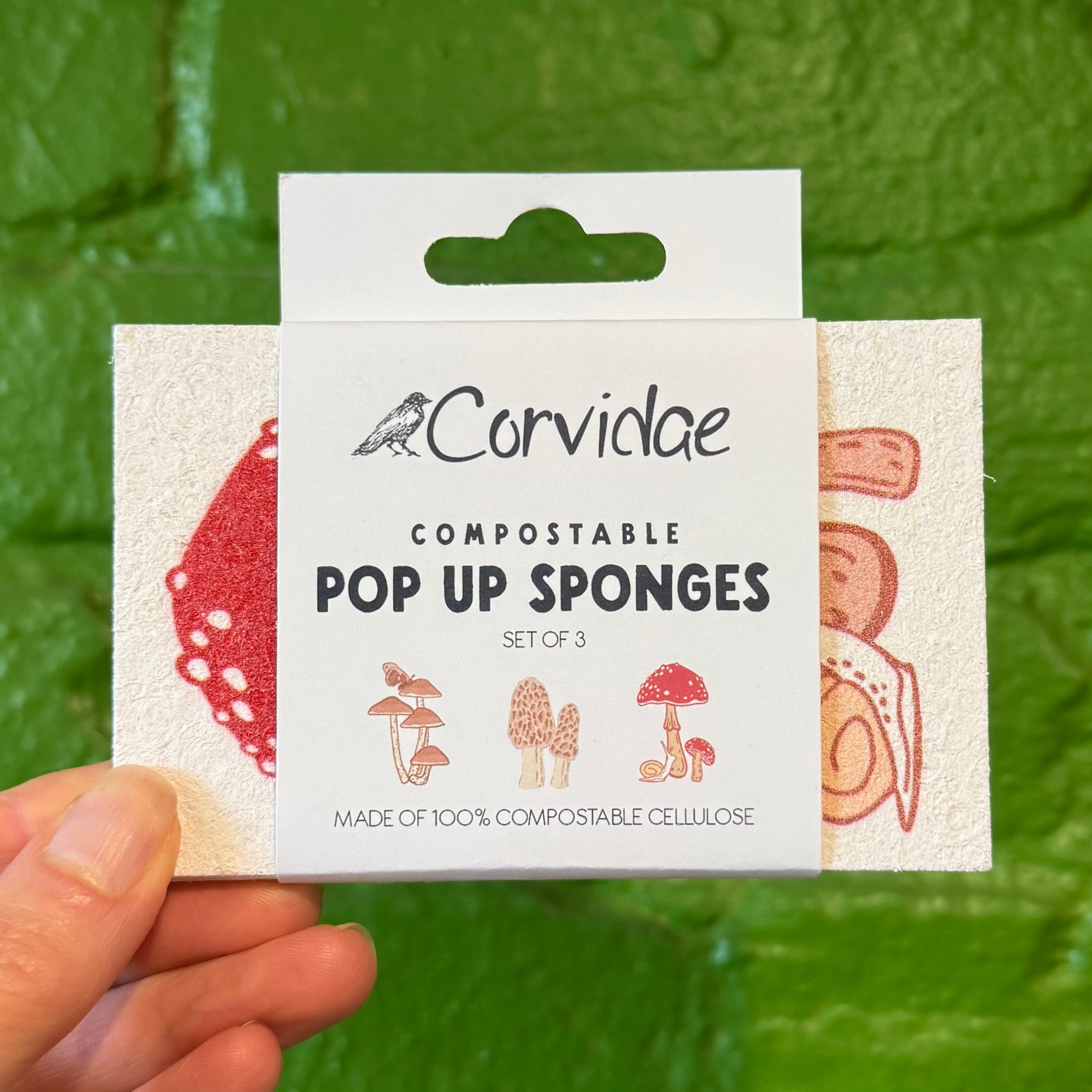 Compostable Pop-Up Sponges