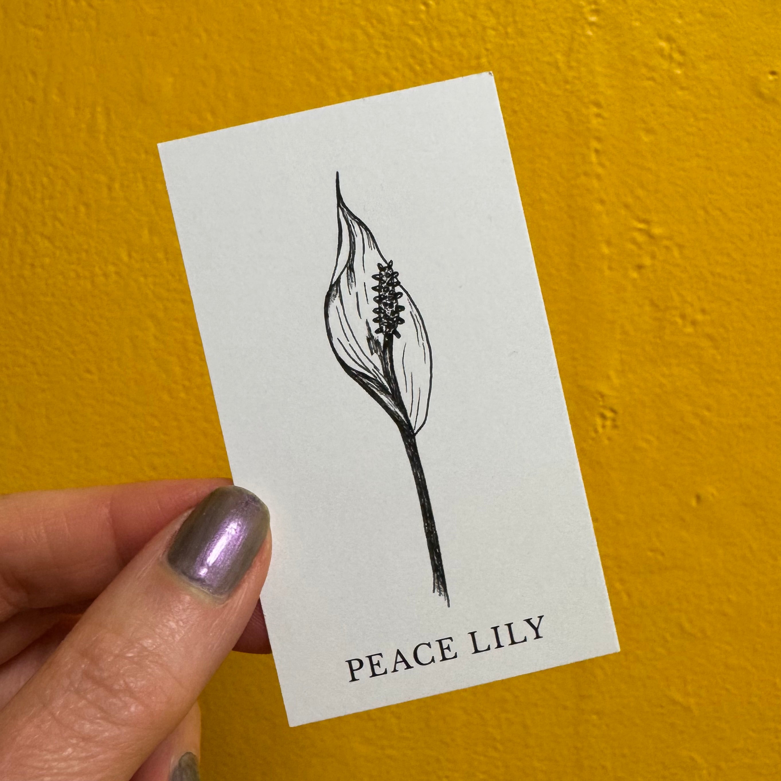 Magic Flowers Plant Ally Cards