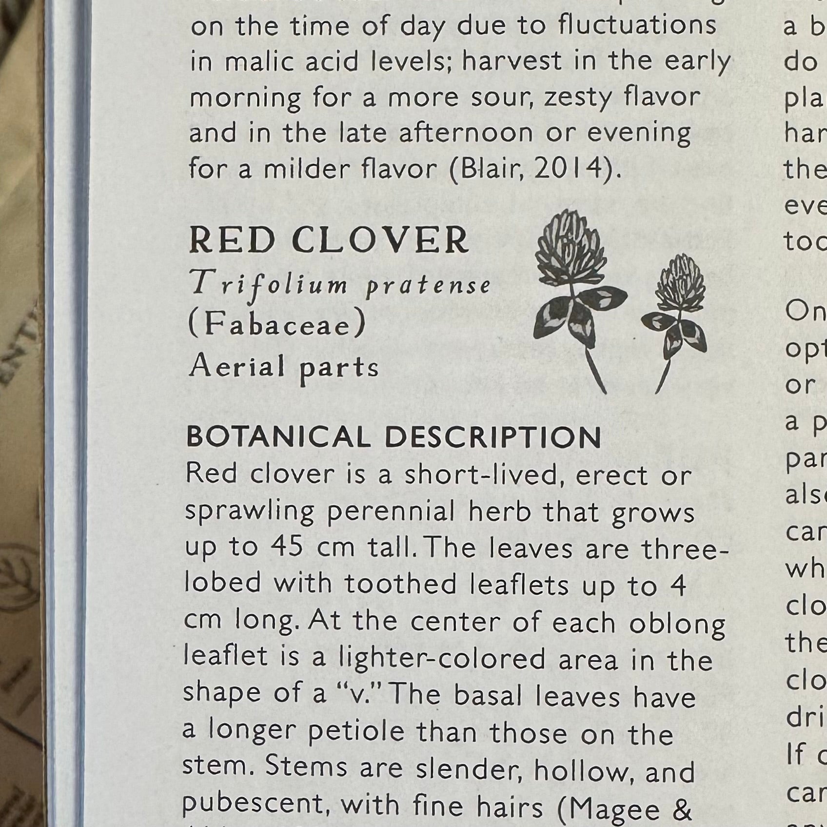 Forager’s Pocket Guides