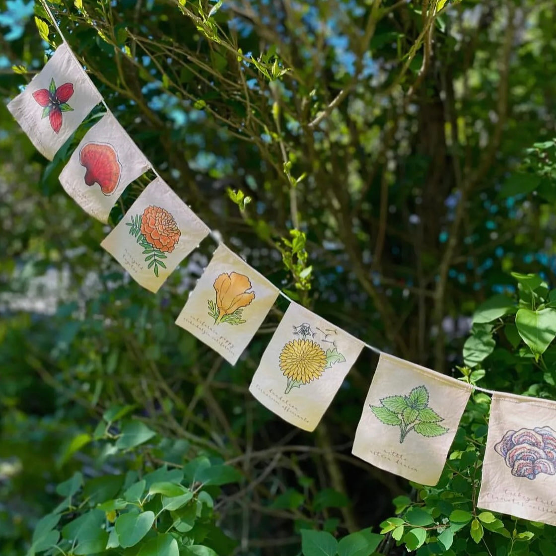 Rainbow Flags