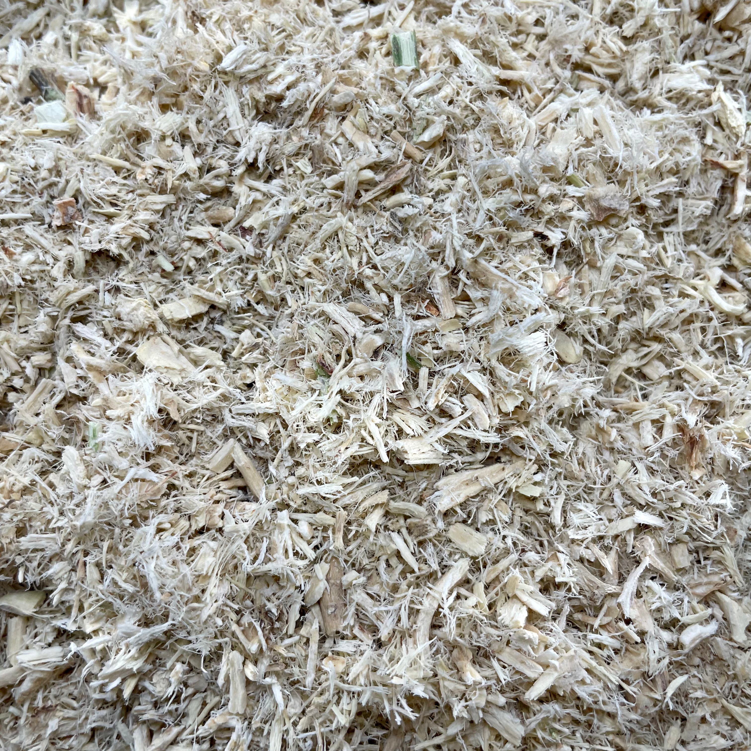 Astragalus Root (A. membranaceus)