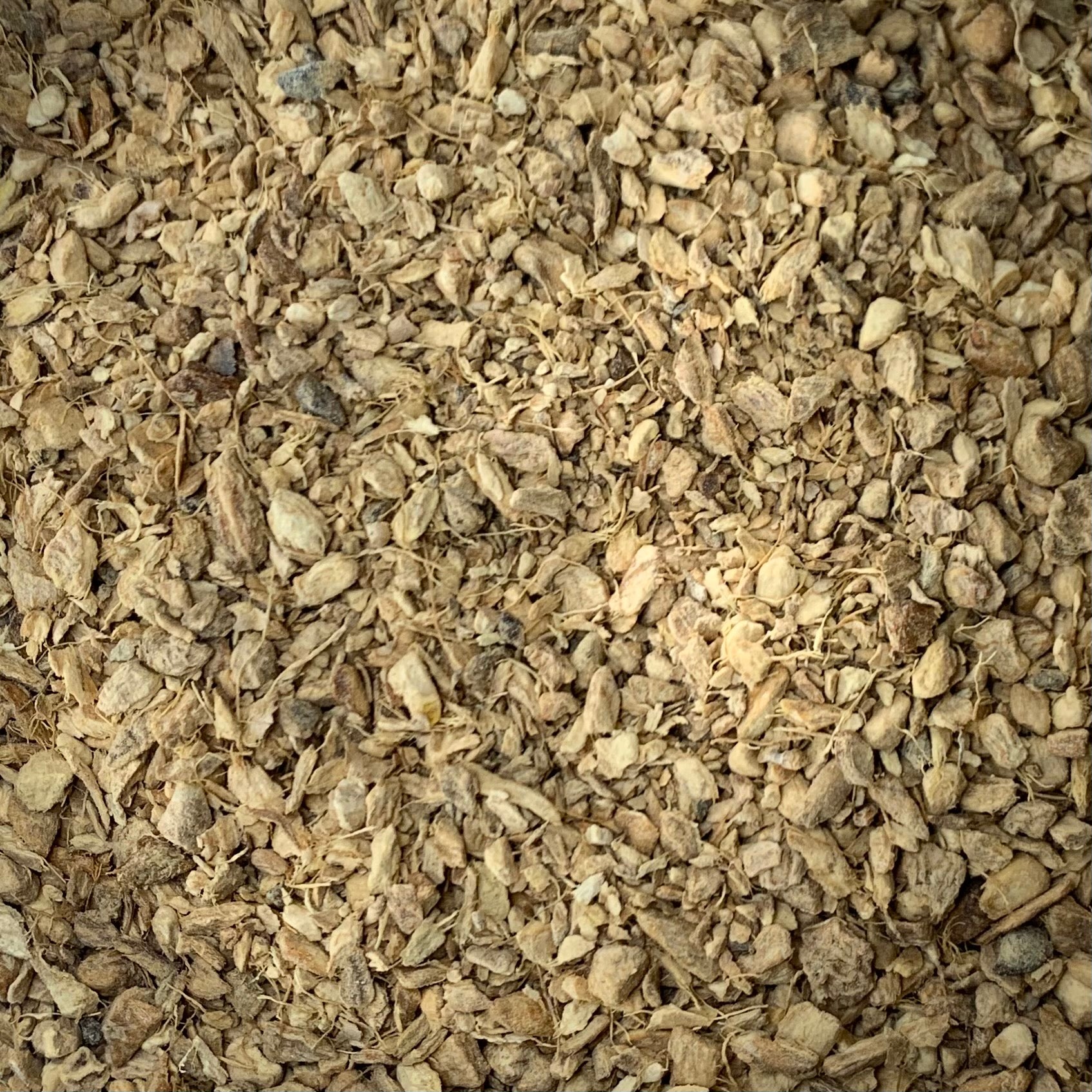 Ginger (Zingiber officinale)