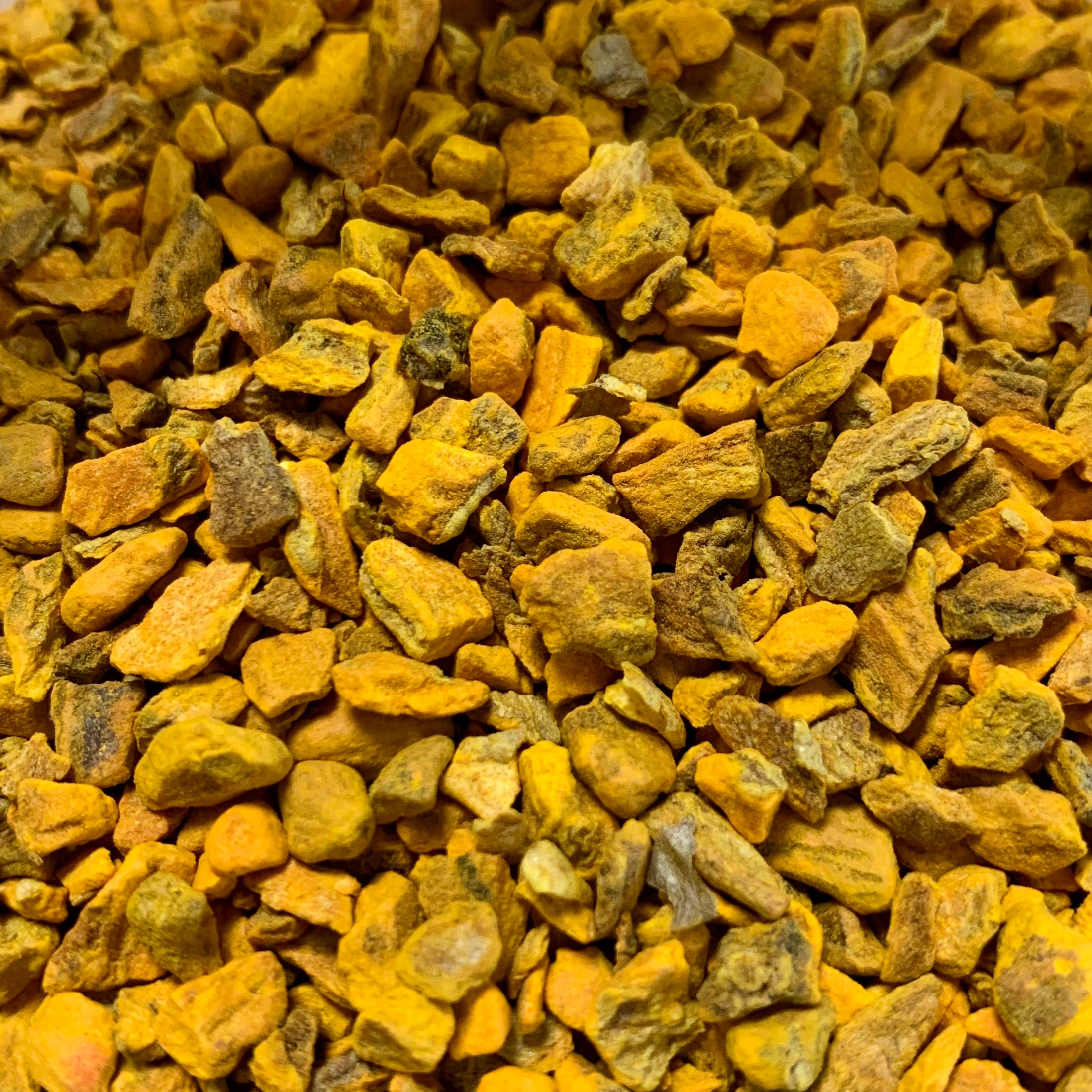 Turmeric (Curcuma longa)