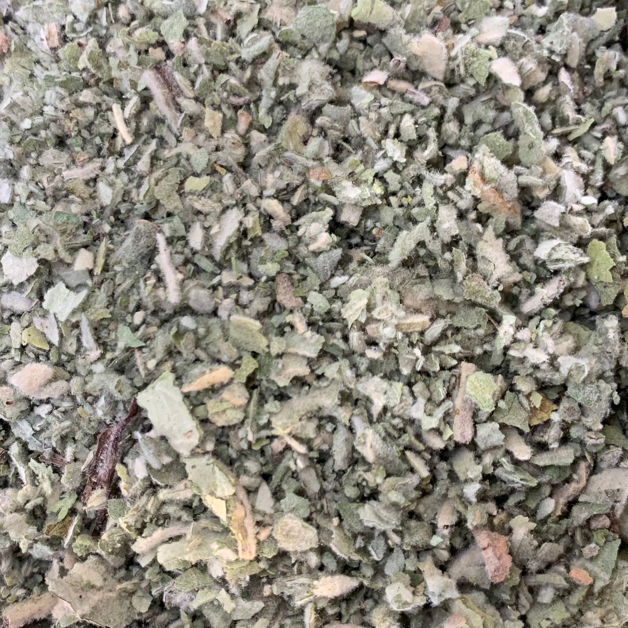 Mullein Leaf (Verbascum thapsus)