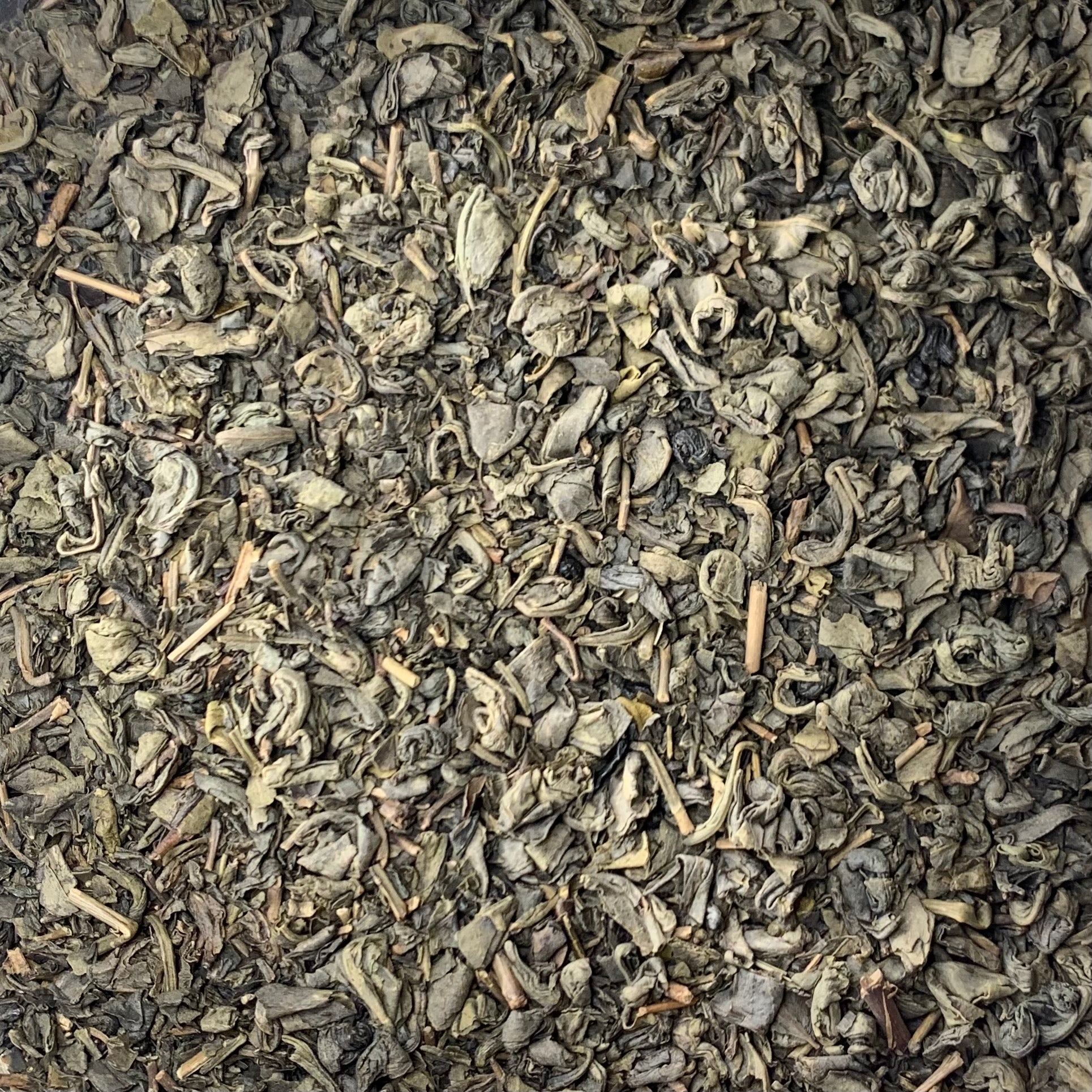 Gunpowder Green Tea (Camellia sinensis)