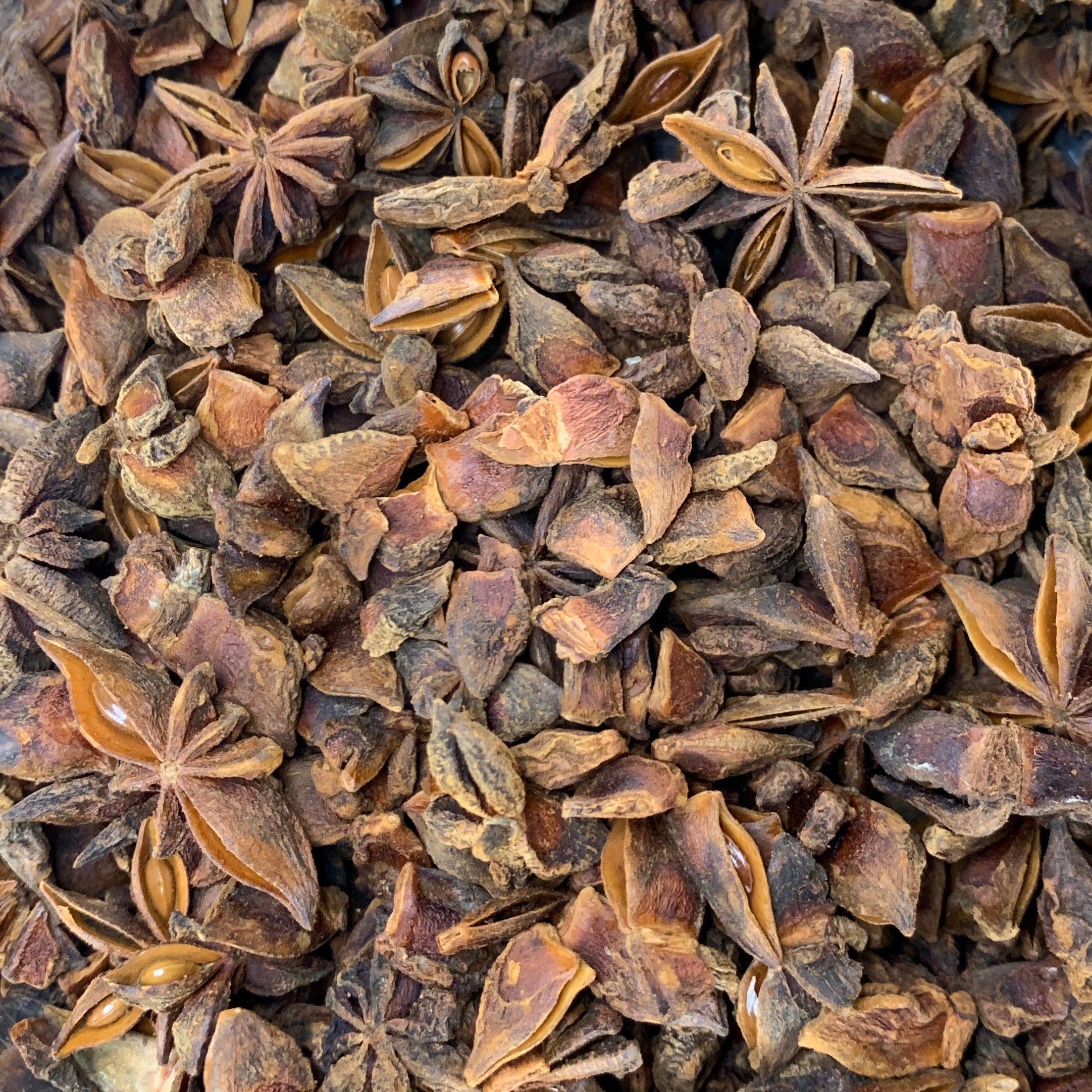 Anise star pods (Illicium verum)