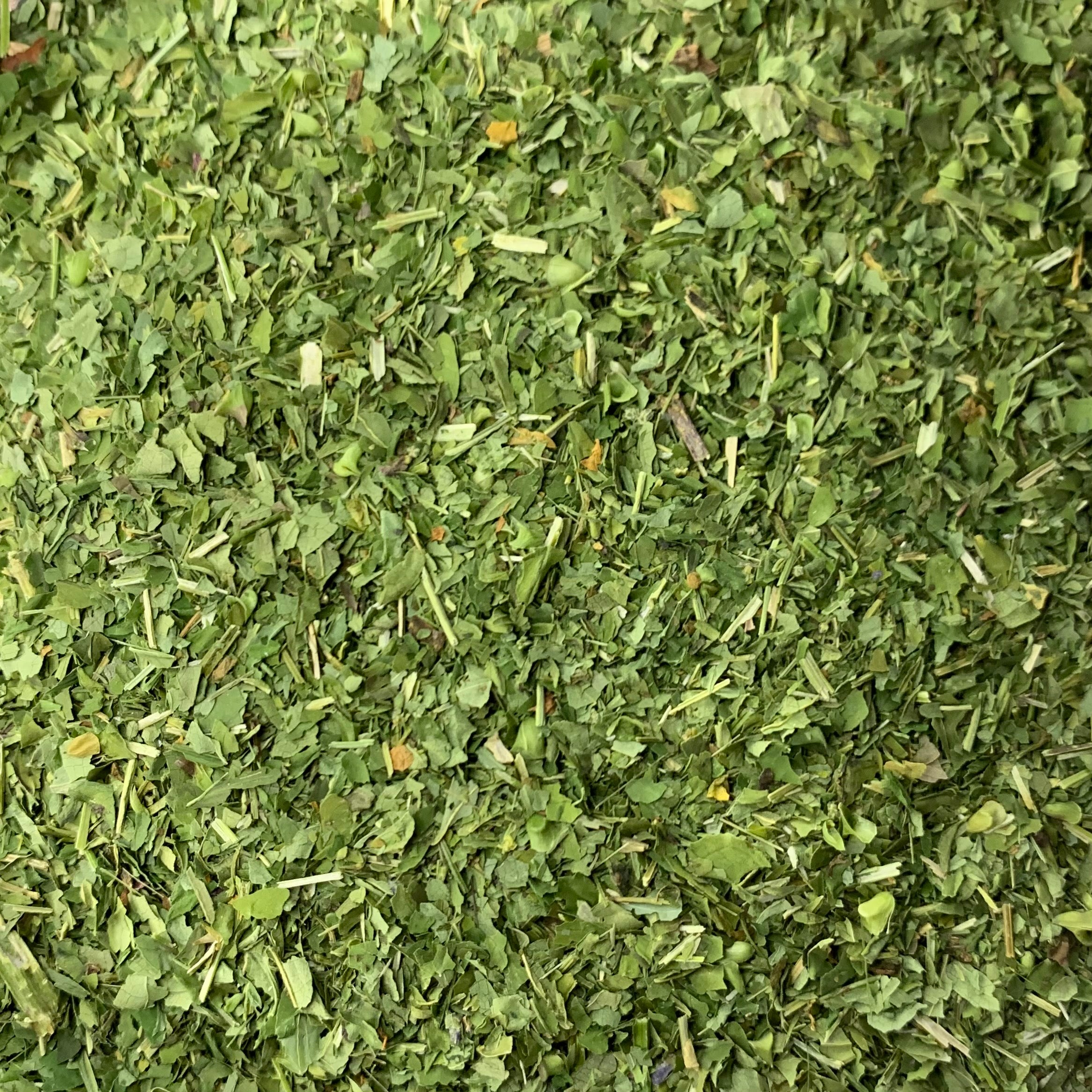 Skullcap (Scutellaria lateriflora)