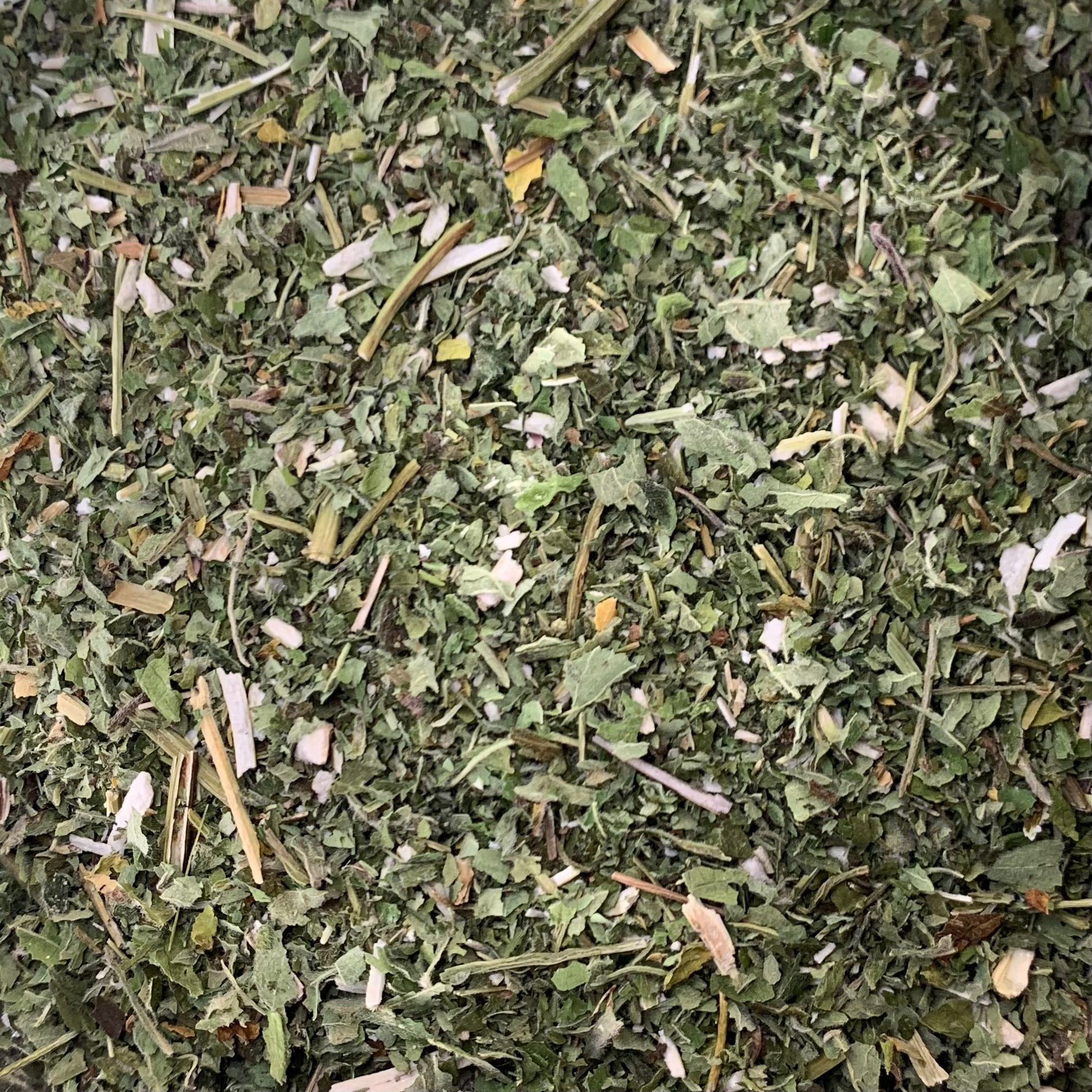 Motherwort (Leonurus cardiaca)