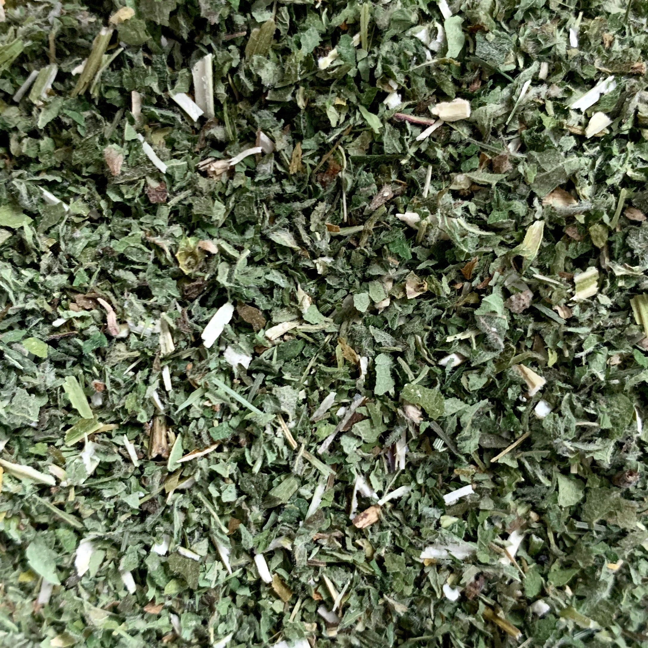 Motherwort (Leonurus cardiaca)