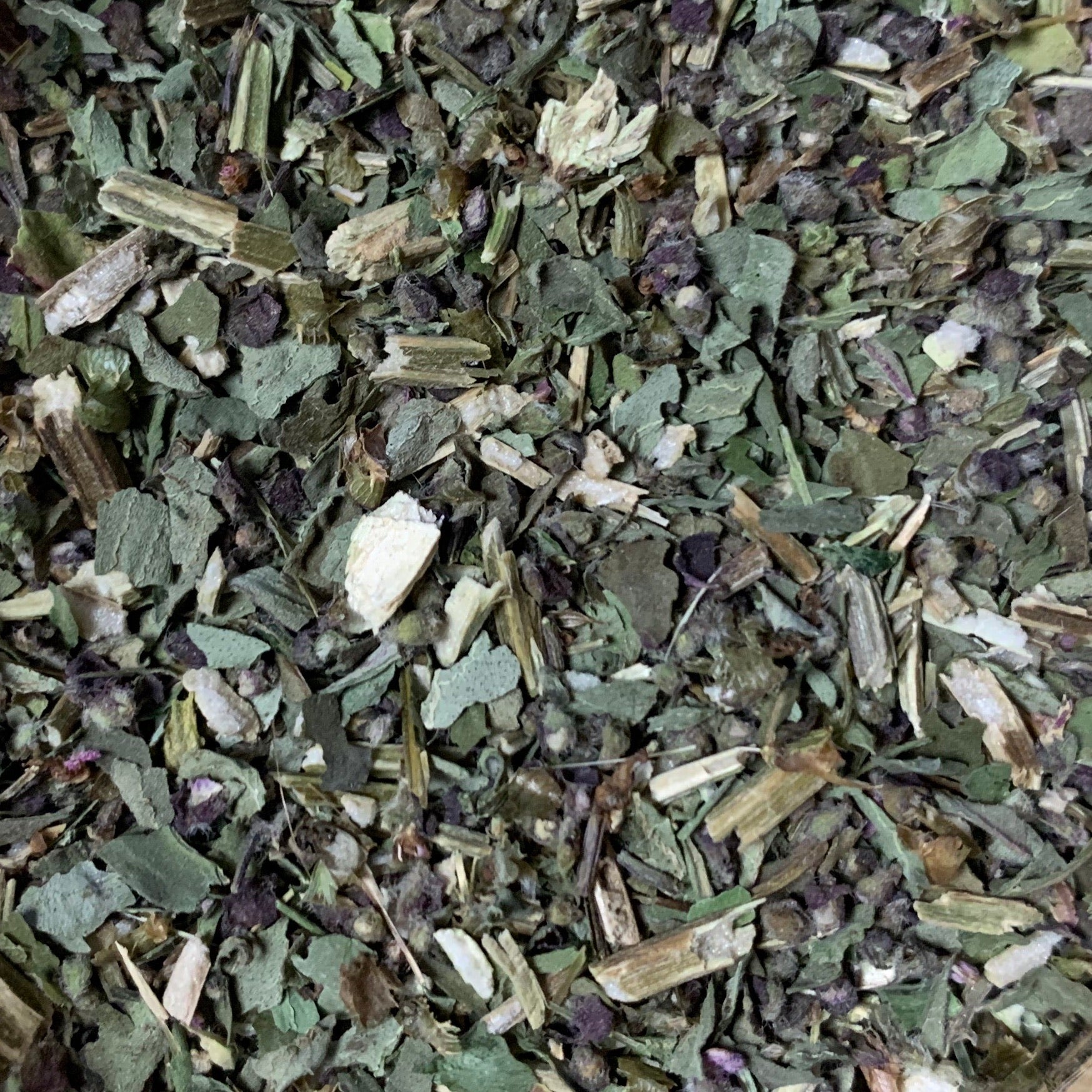 Tulsi "Kapoor" (Ocimum x africanum)