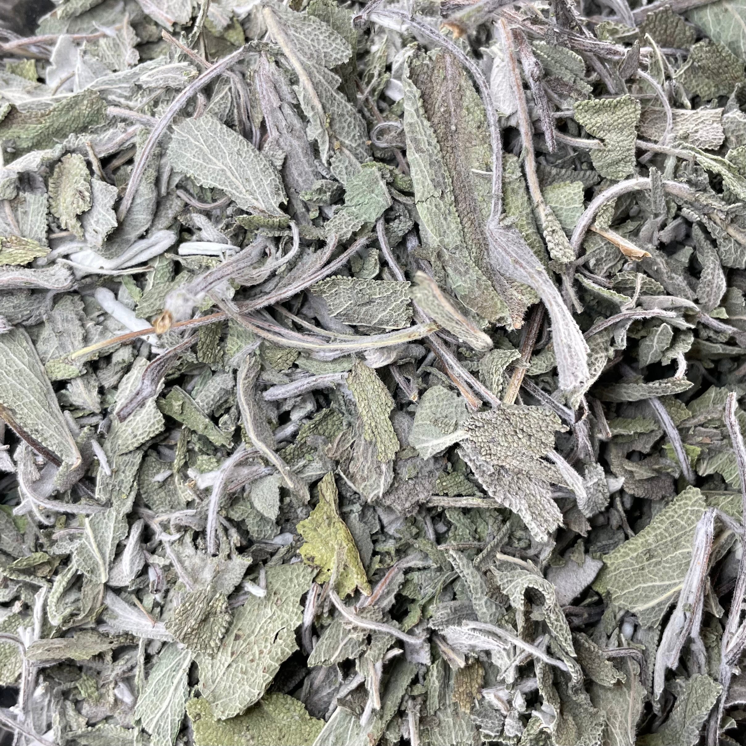 Sage (Salvia officinalis)