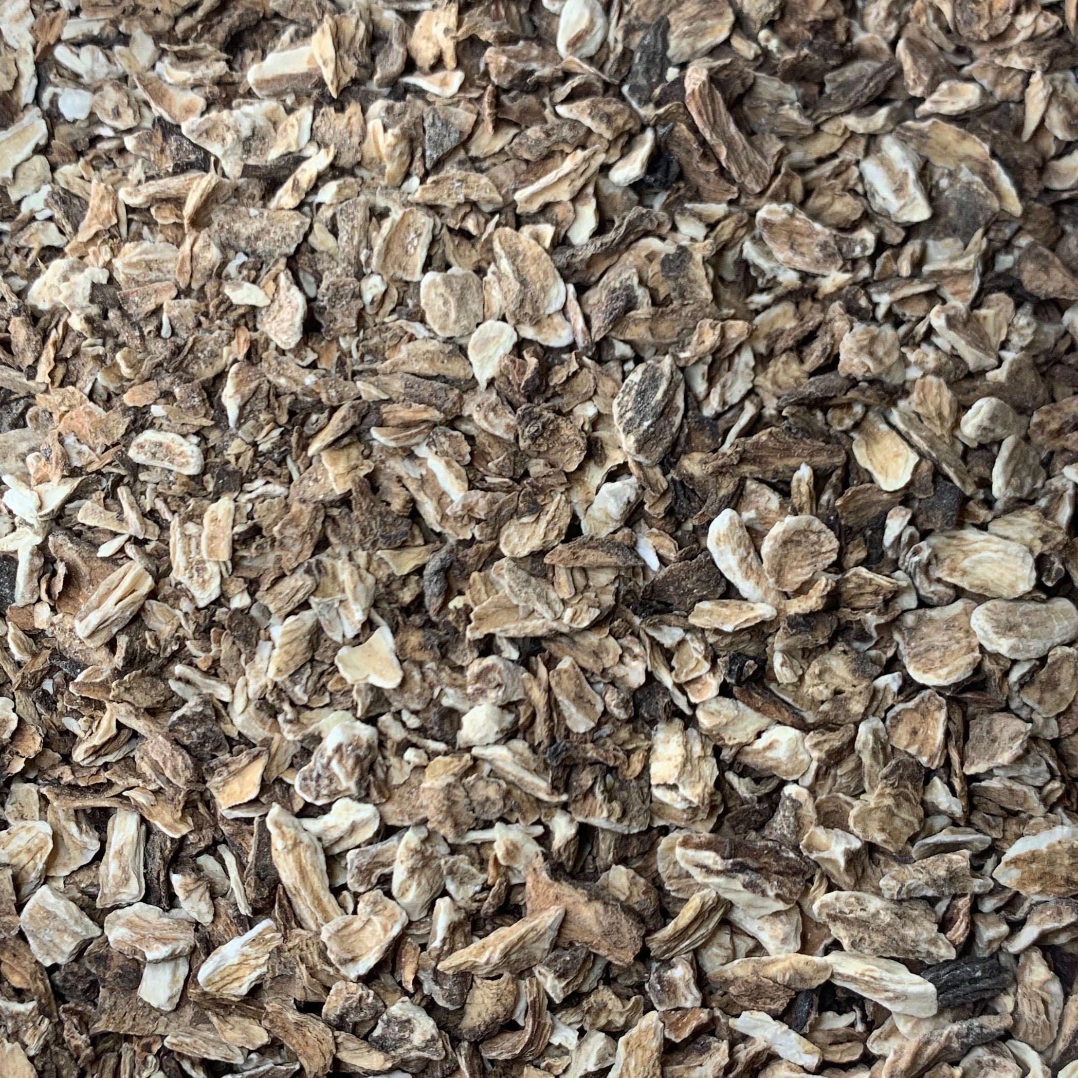 Burdock Root (Arctium lappa)