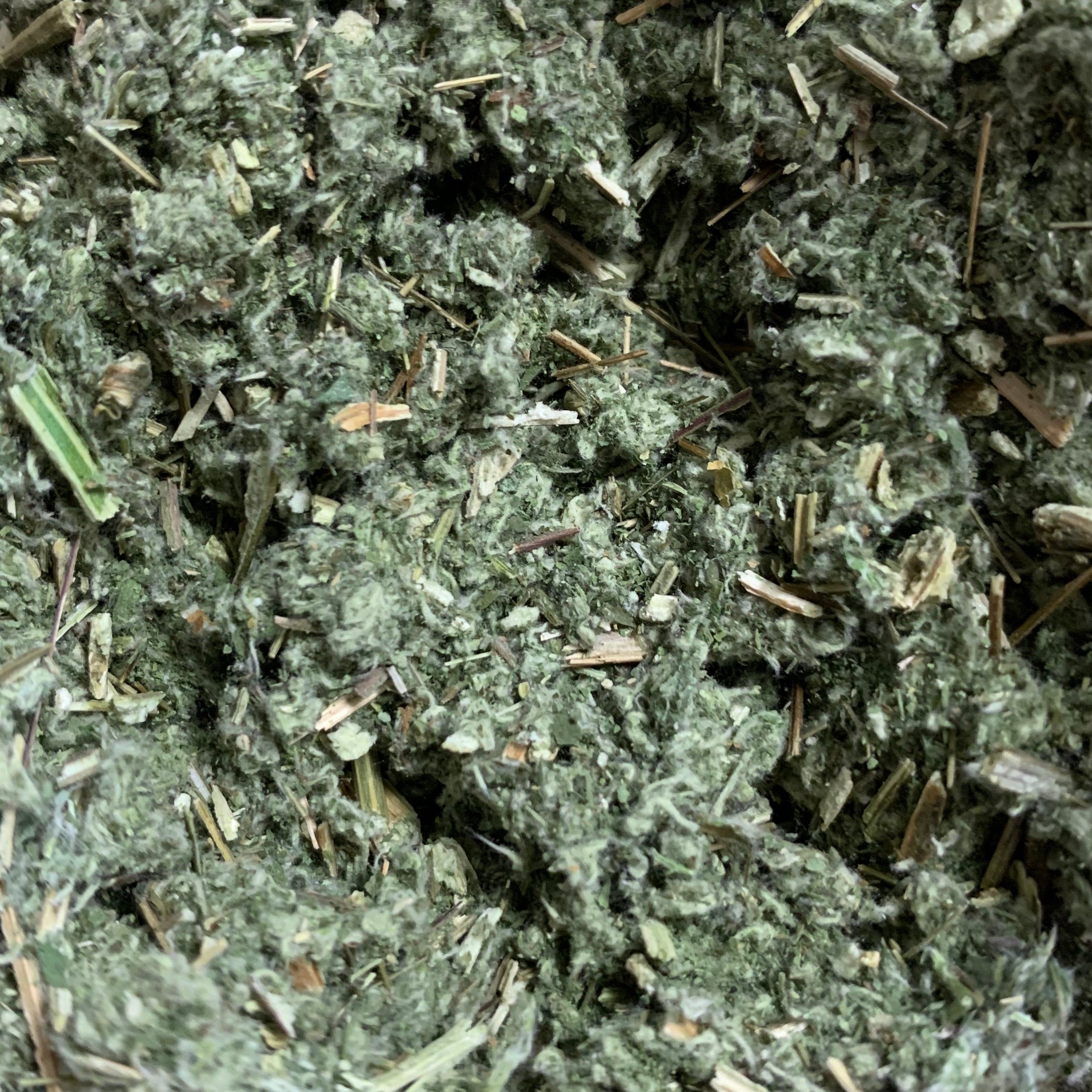Mugwort (Artemisia vulgaris)
