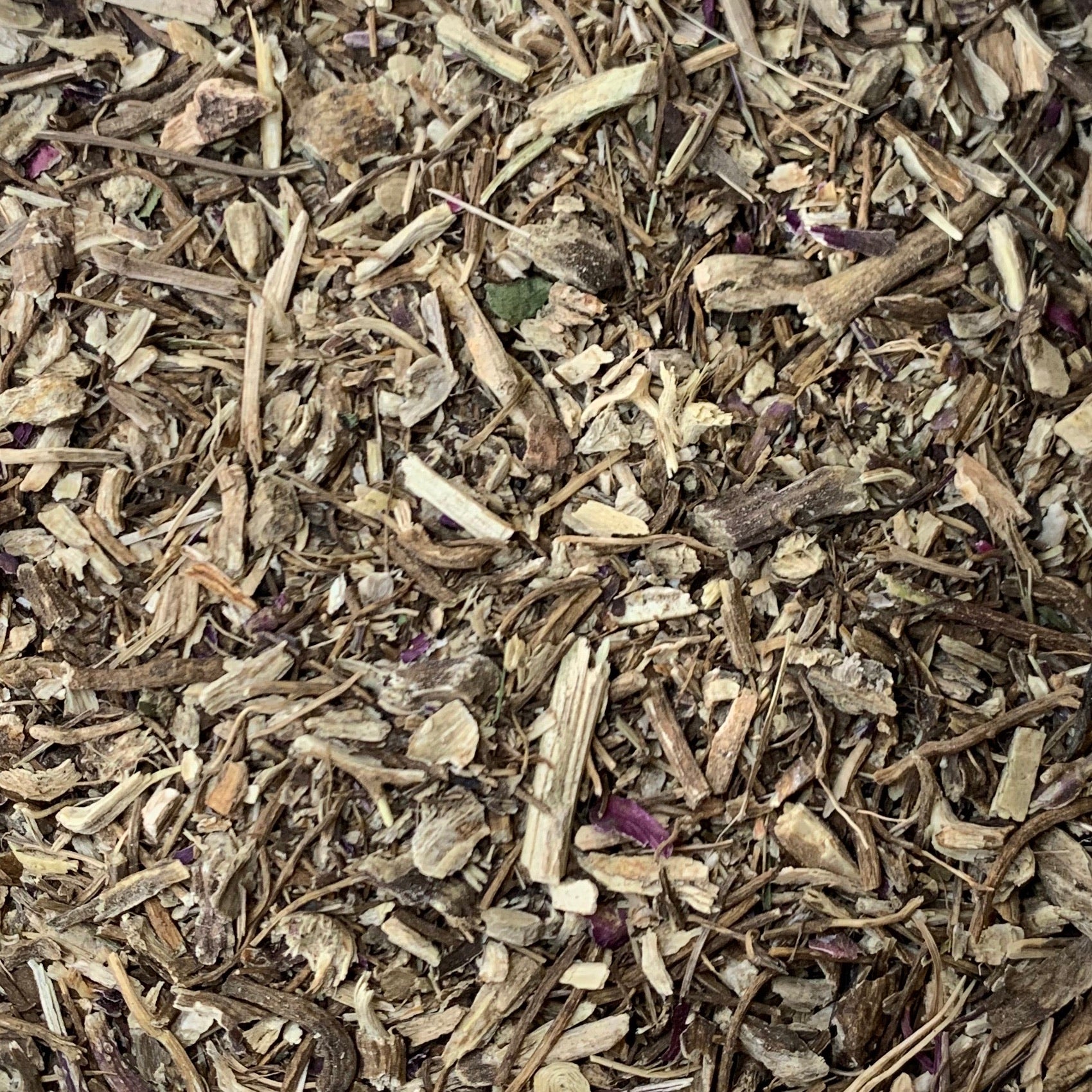 Echinacea Root (E. purpurea)