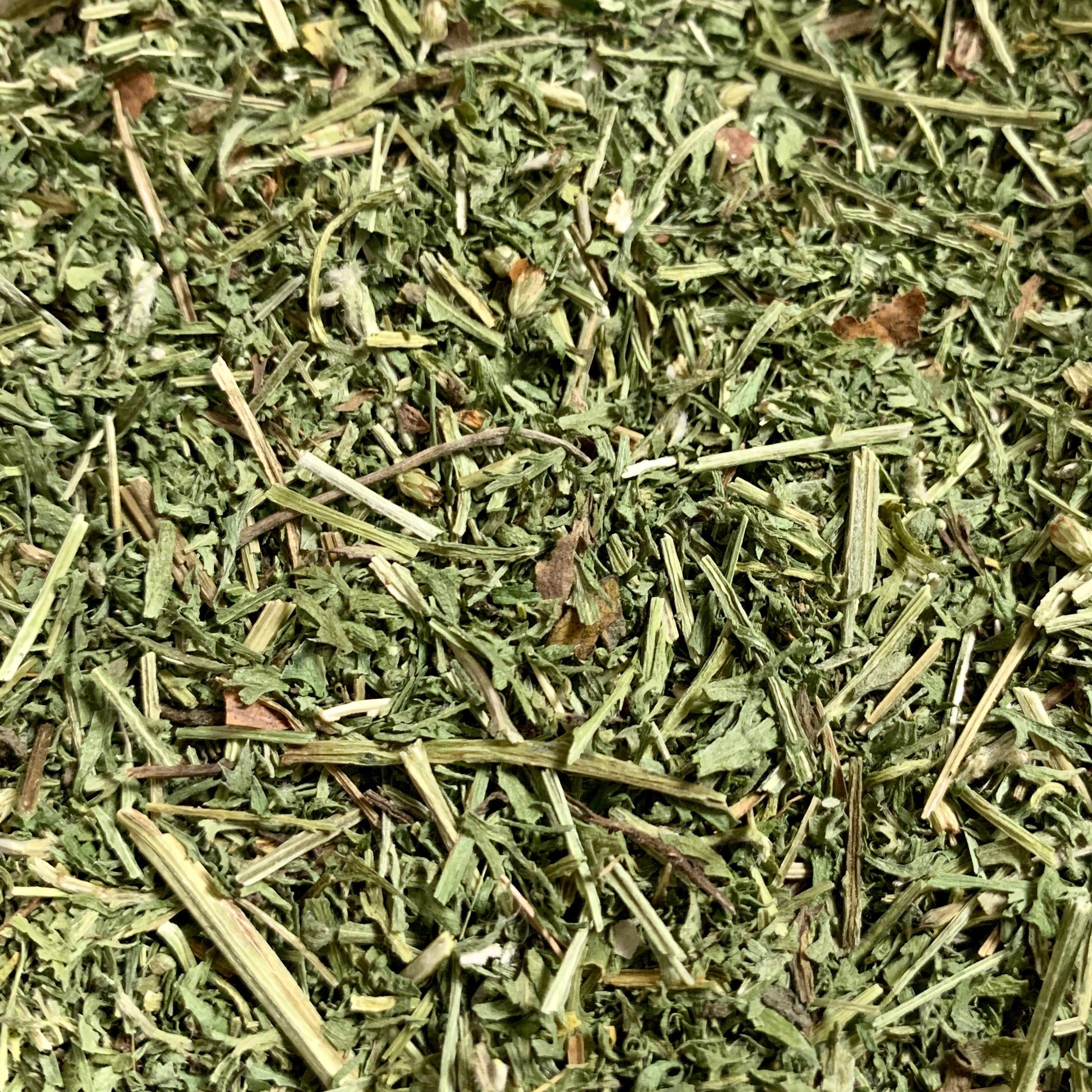 Yarrow (Achillea millefolium)