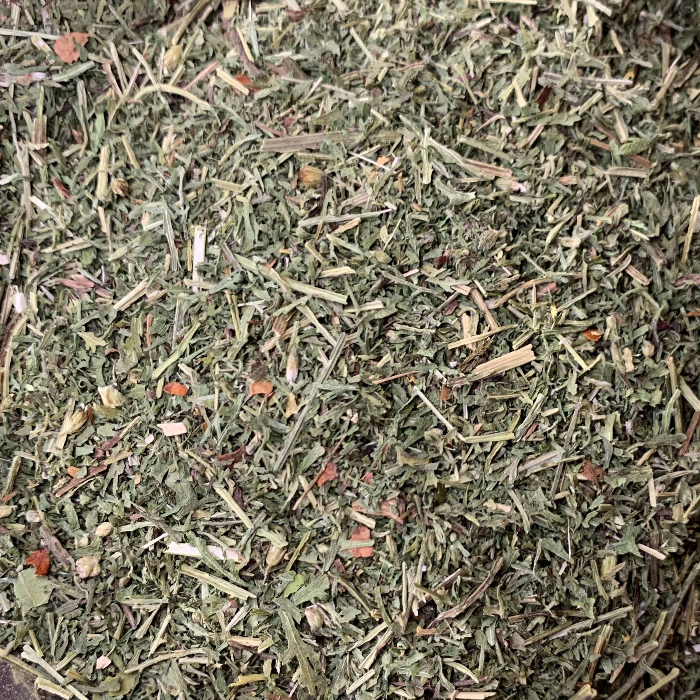 Yarrow (Achillea millefolium)