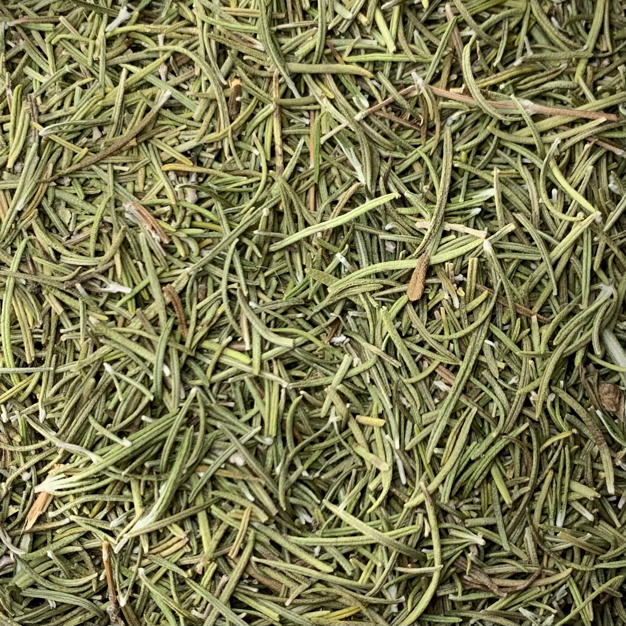 Rosemary (Rosmarinus officinalis)