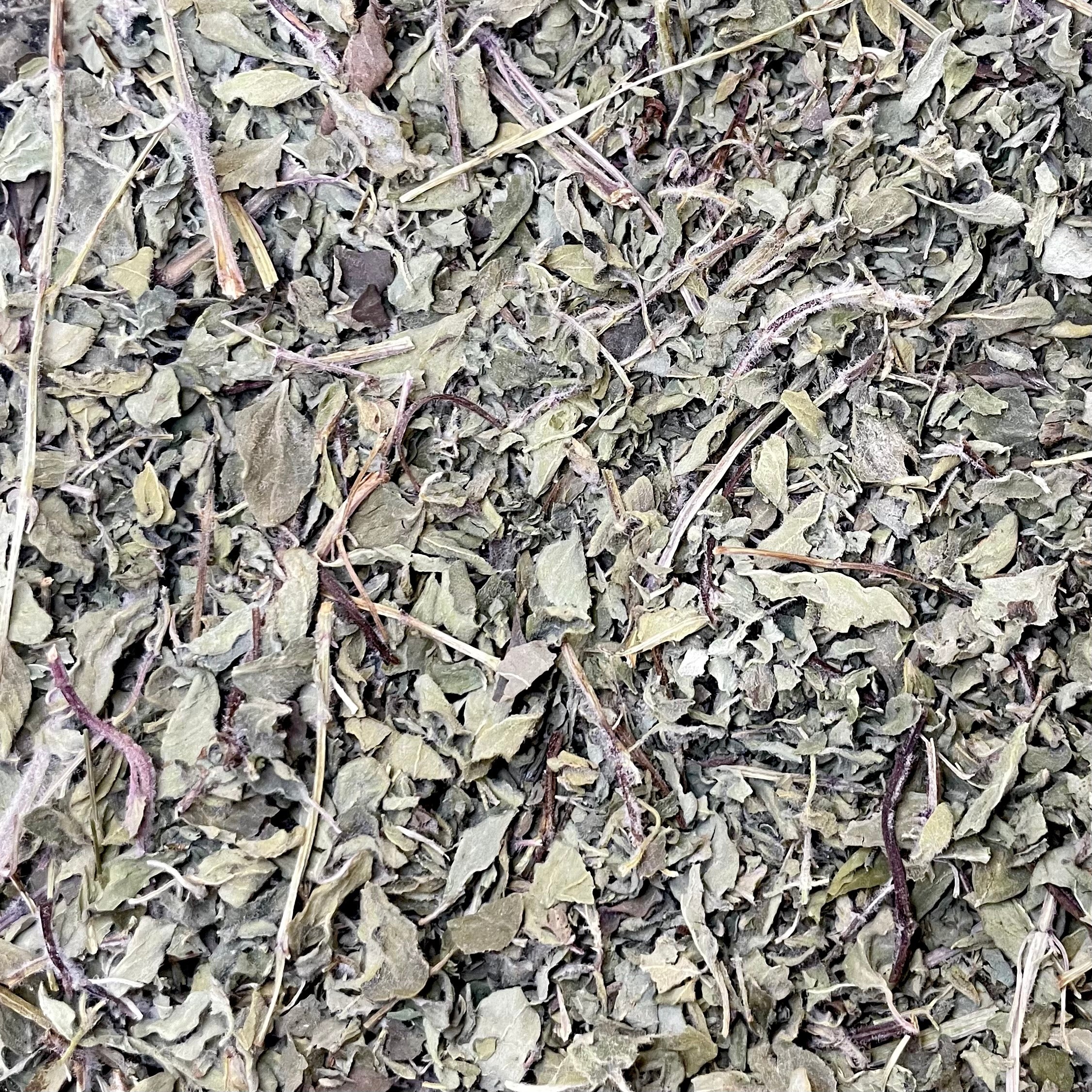 Oregano (Origanum sp)