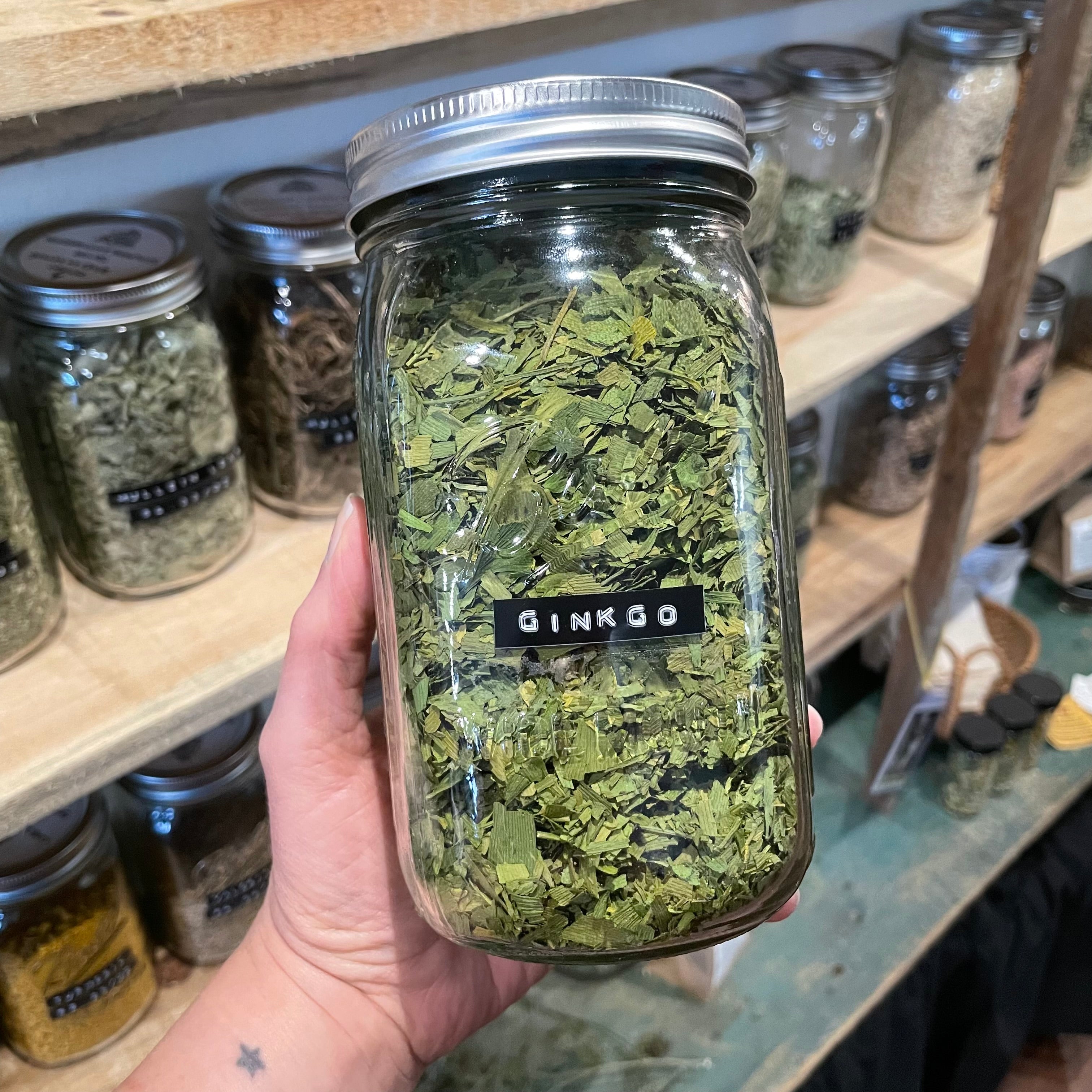 Ginkgo (Ginkgo biloba)