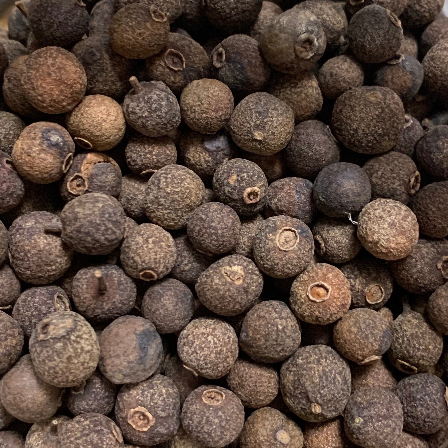 Allspice (Pimenta dioica)