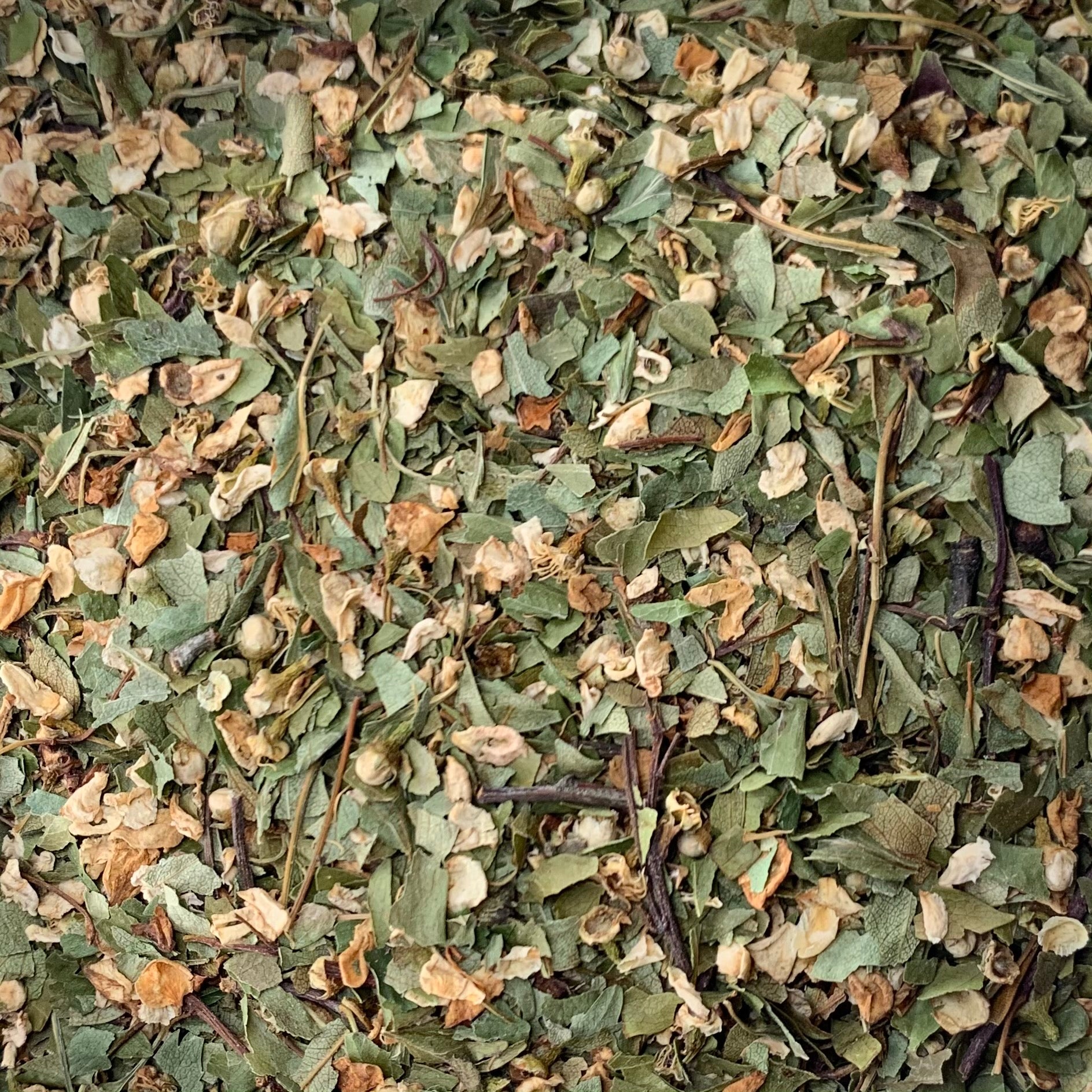 Hawthorn leaf & flower (Crataegus laevigata)