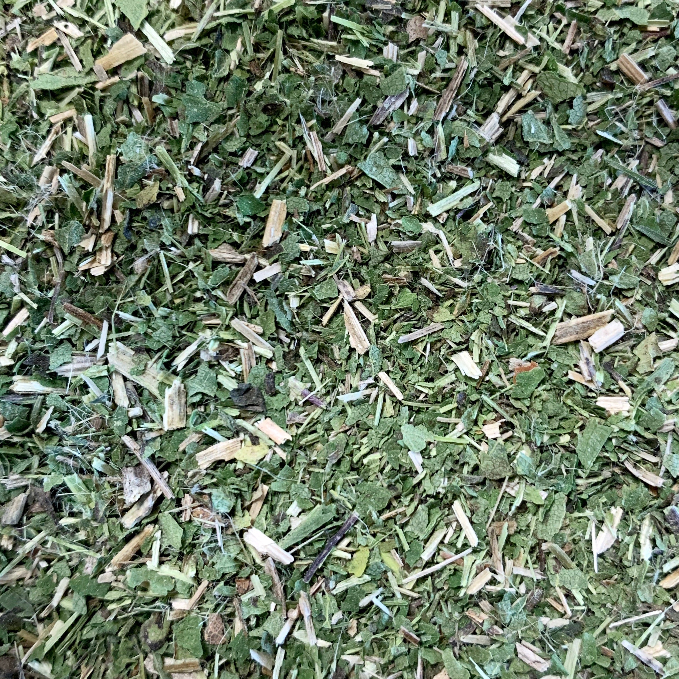 Nettle (Urtica dioica)