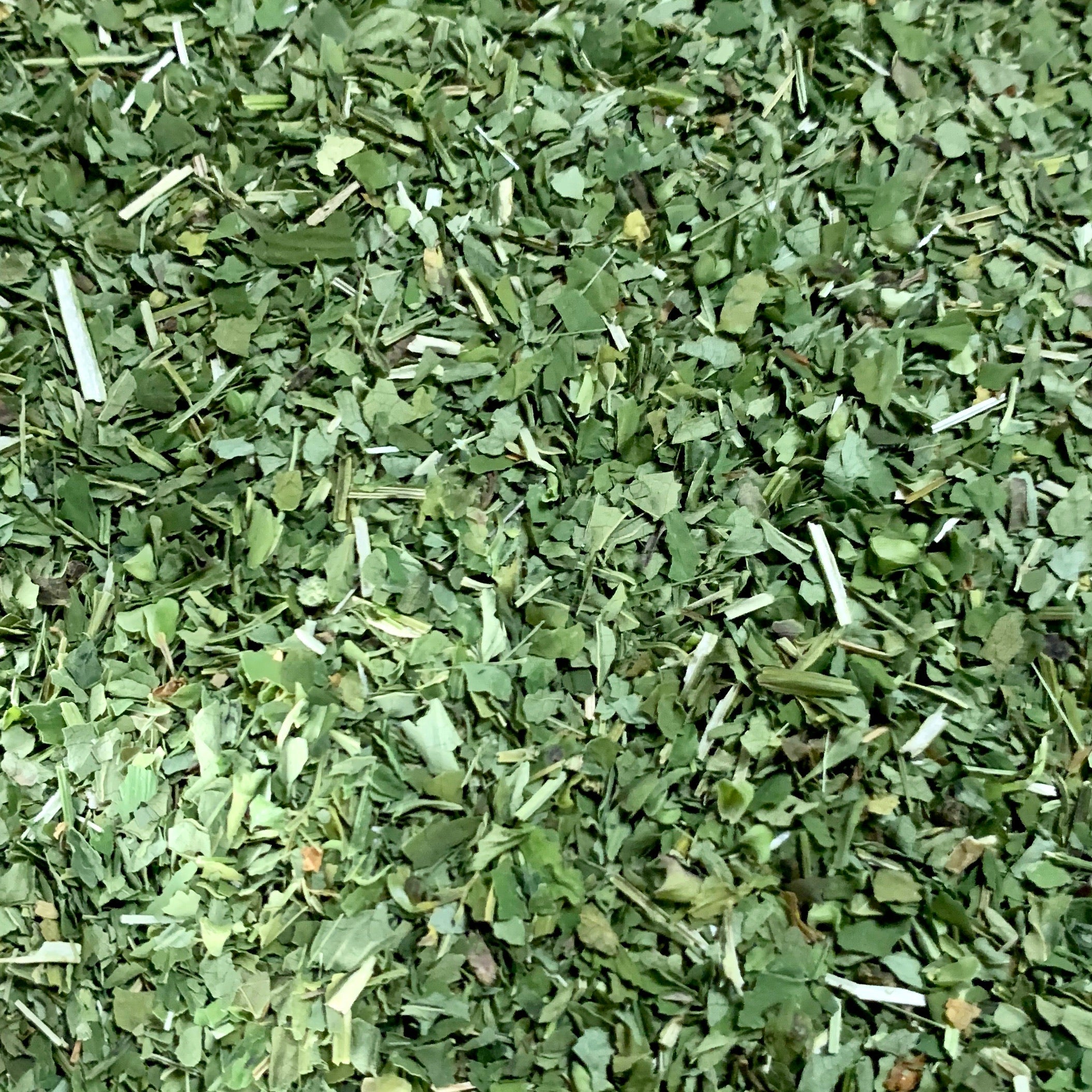 Skullcap (Scutellaria lateriflora)