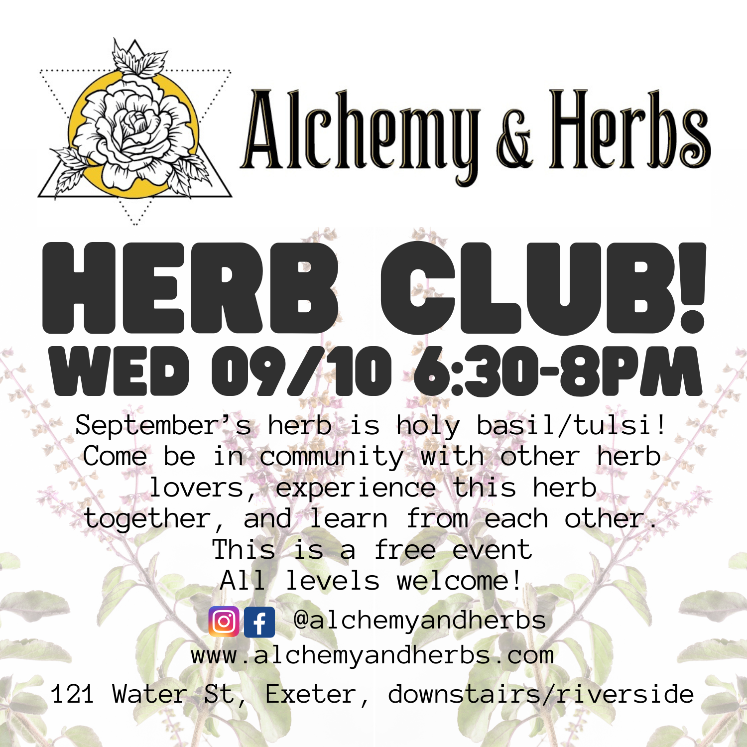 Herb Club featuring Tulsi