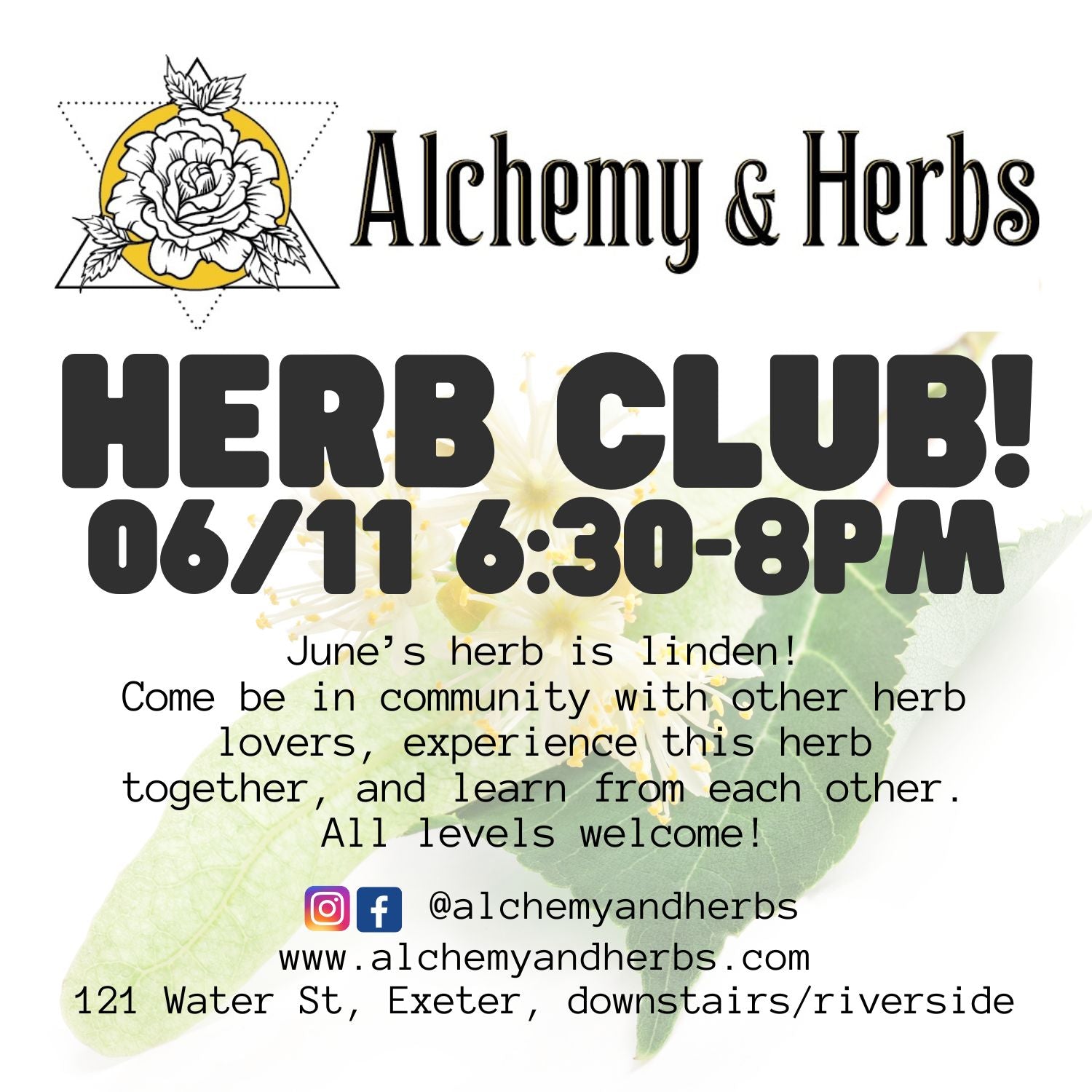 Herb Club - Linden