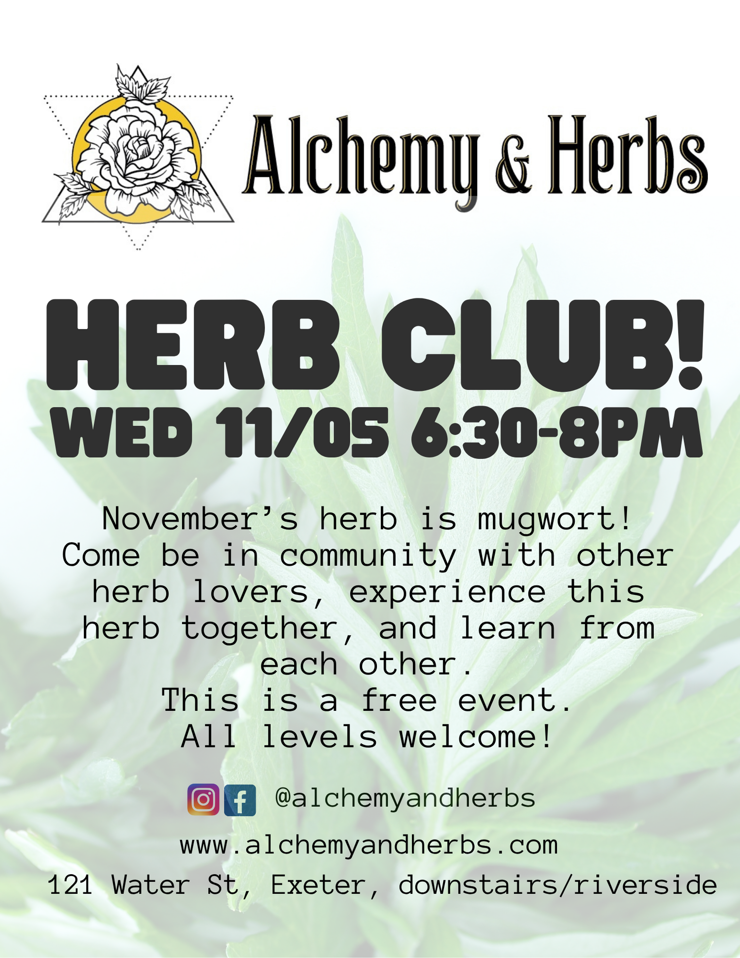 November Herb Club - Mugwort