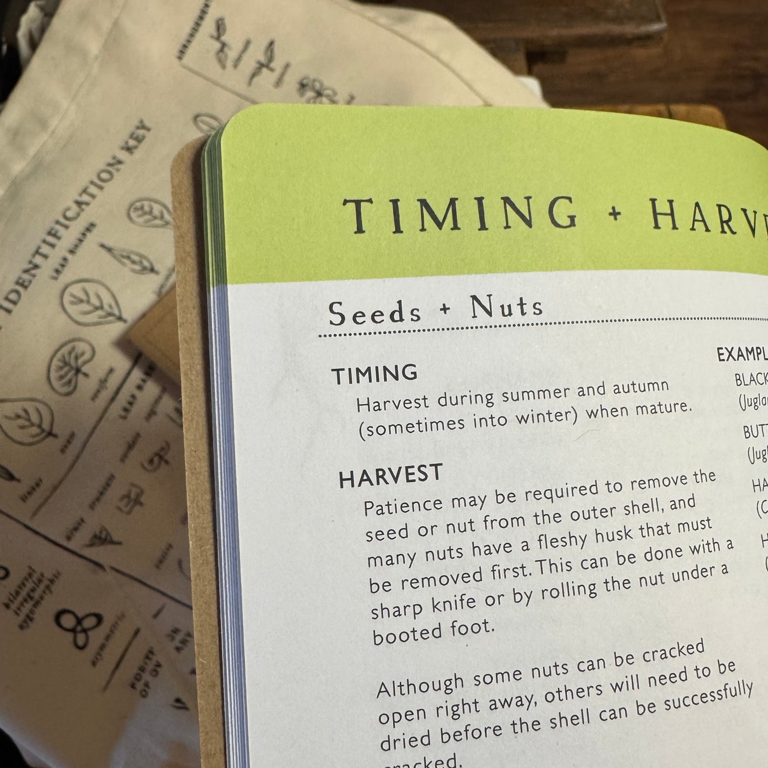 Forager’s Pocket Guides
