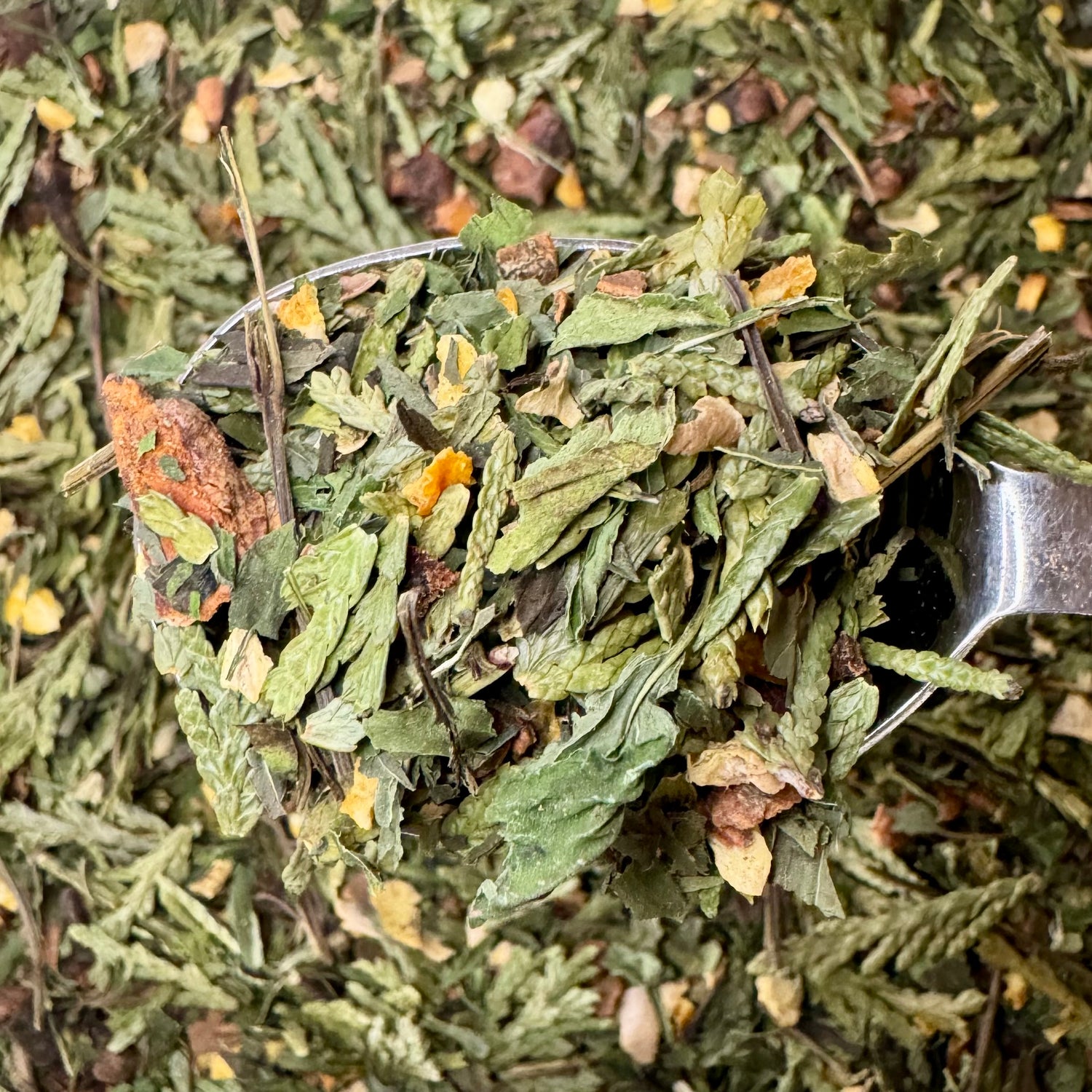 Winter Solstice Herbal Tea Blend
