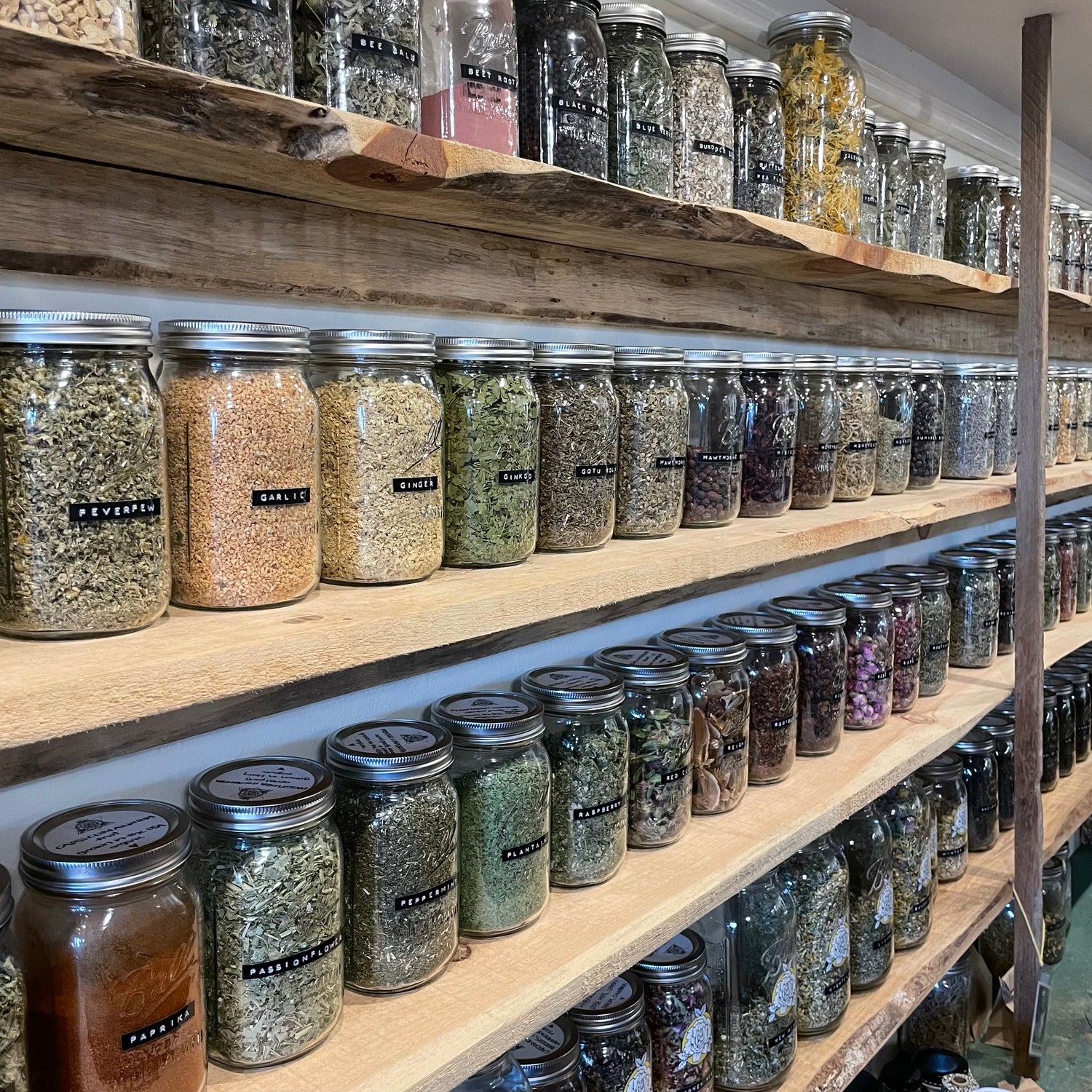 Two of four shelves, each lined with 32oz mason jars filled with assorted herbs, spices, and teas