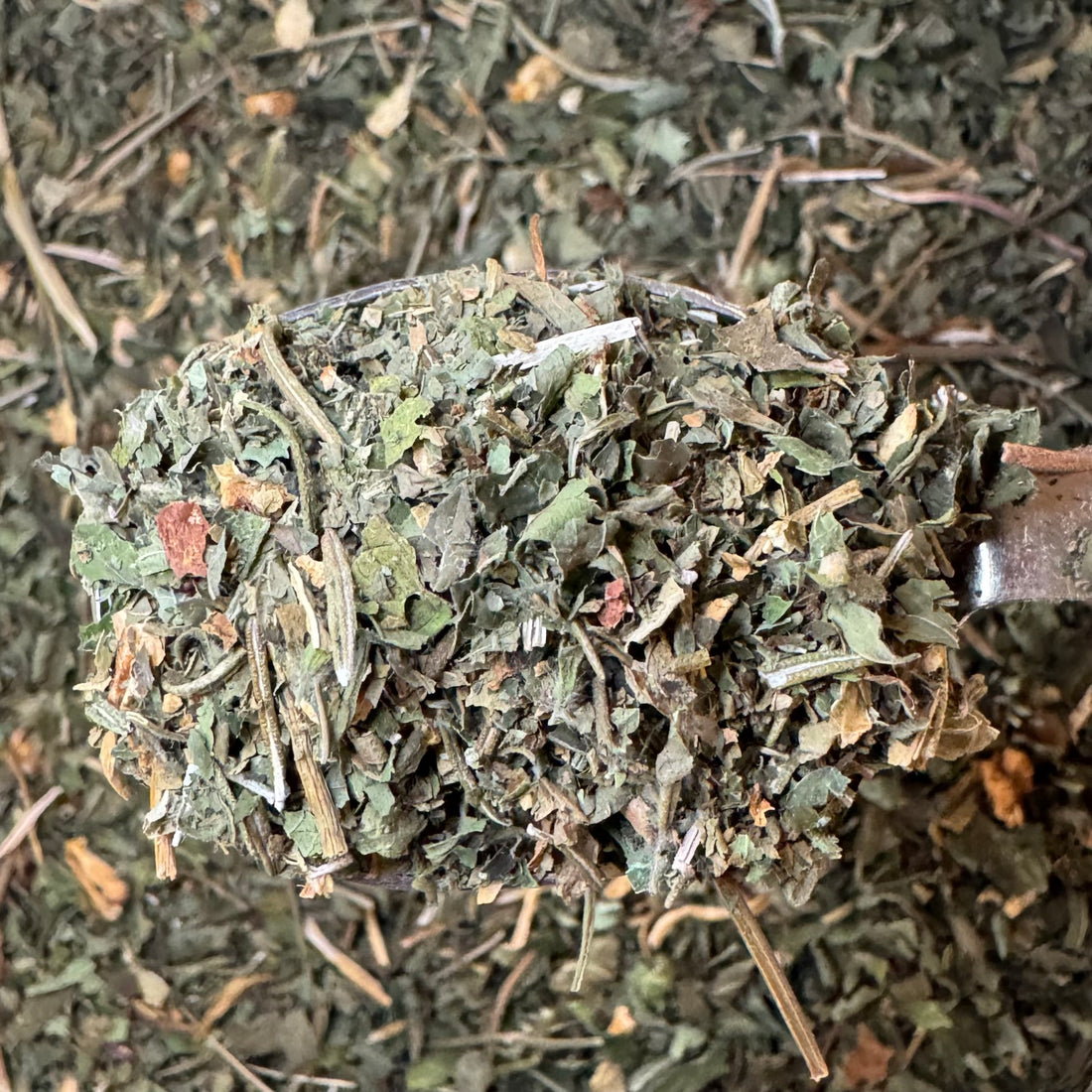 Trivia Night Herbal Tea Blend