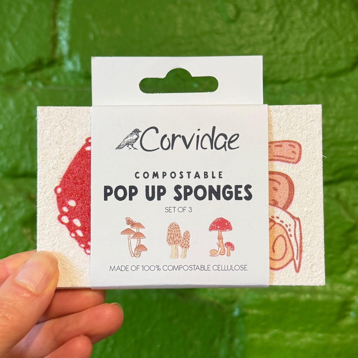 Compostable Pop-Up Sponges