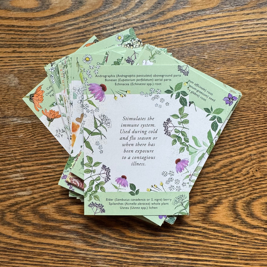 Herbal Action Flashcards