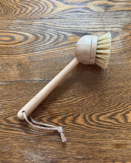 Long Handled Kitchen Scrub Brush