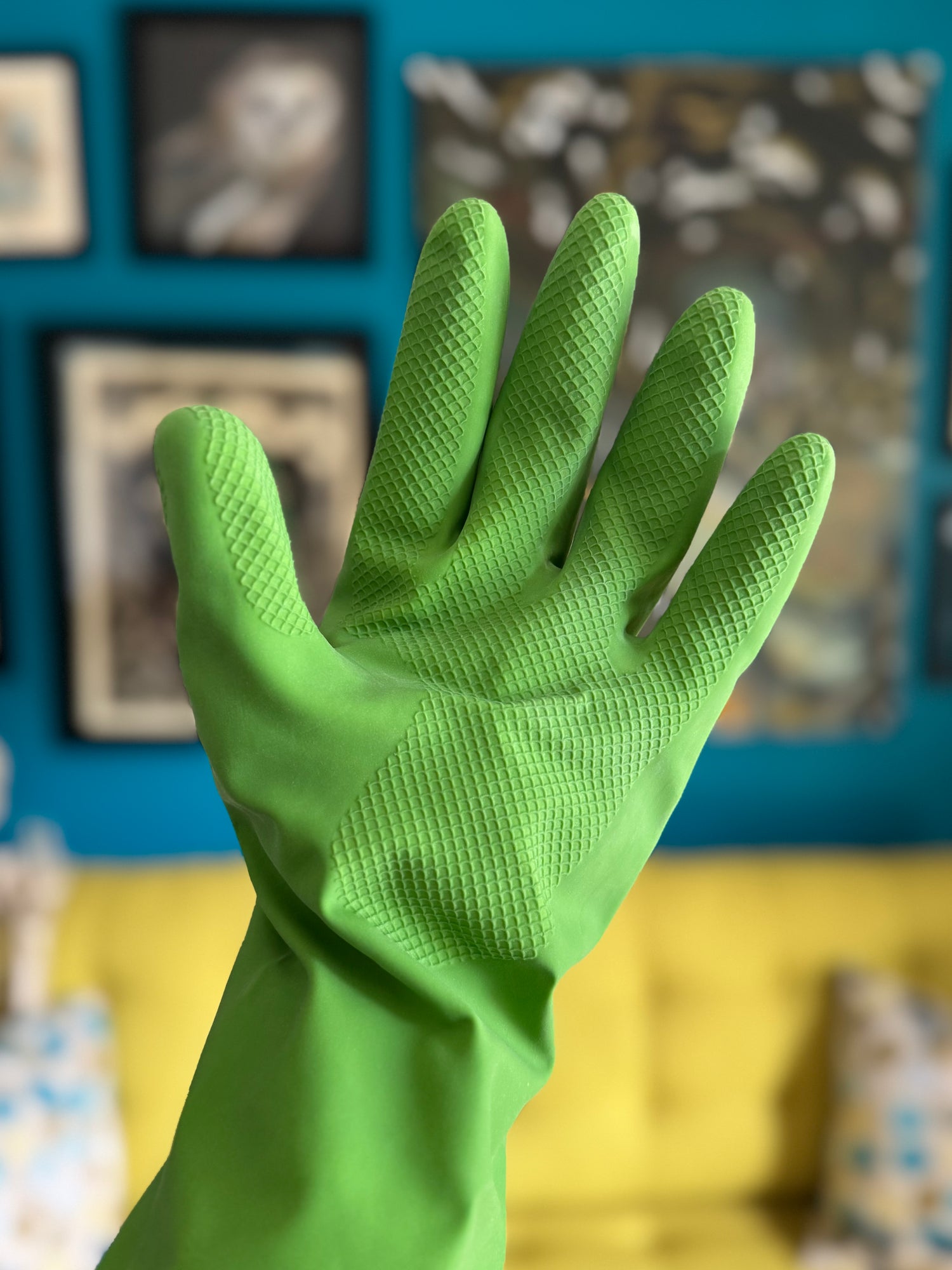 Reusable Household Gloves