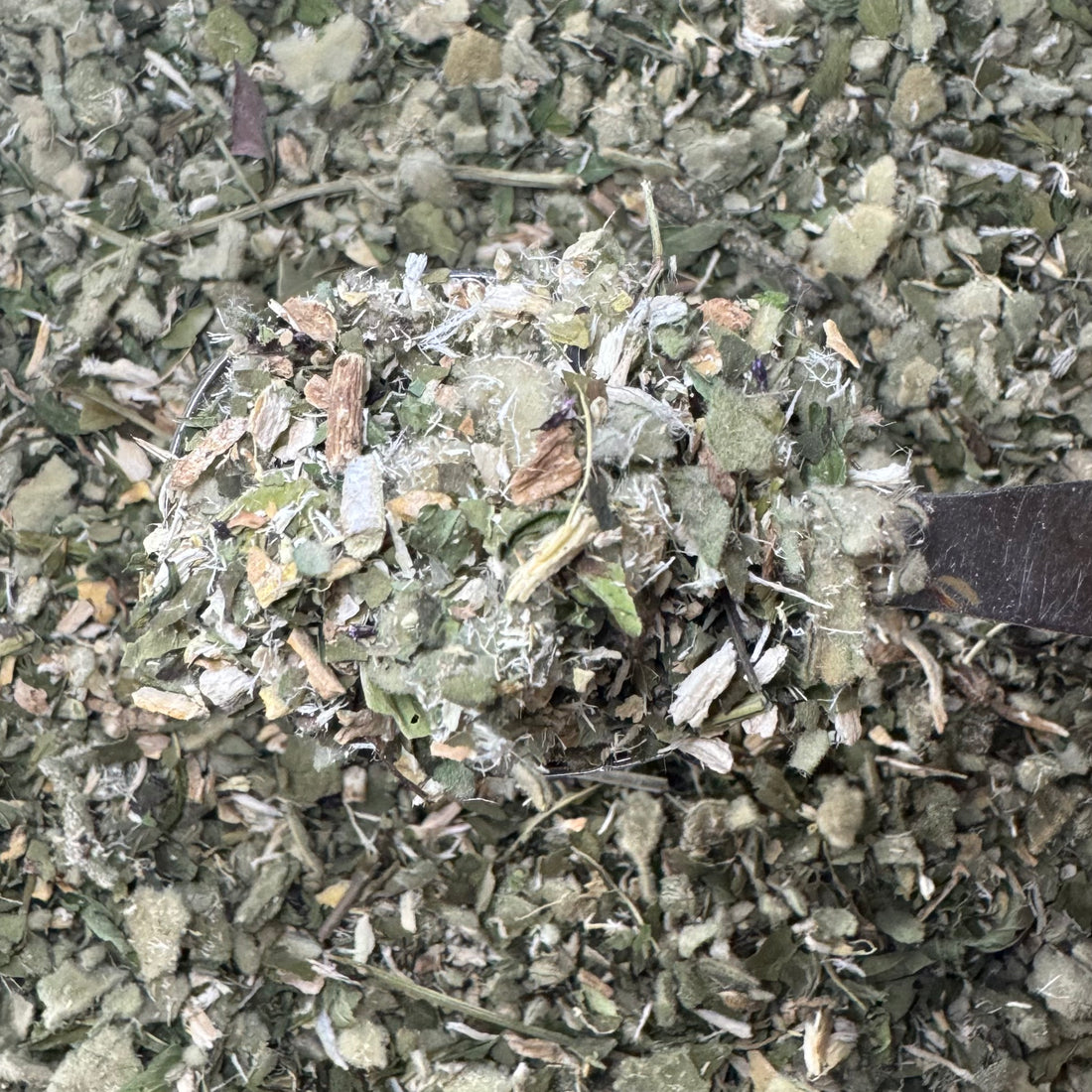 Spiritus Herbal Tea Blend