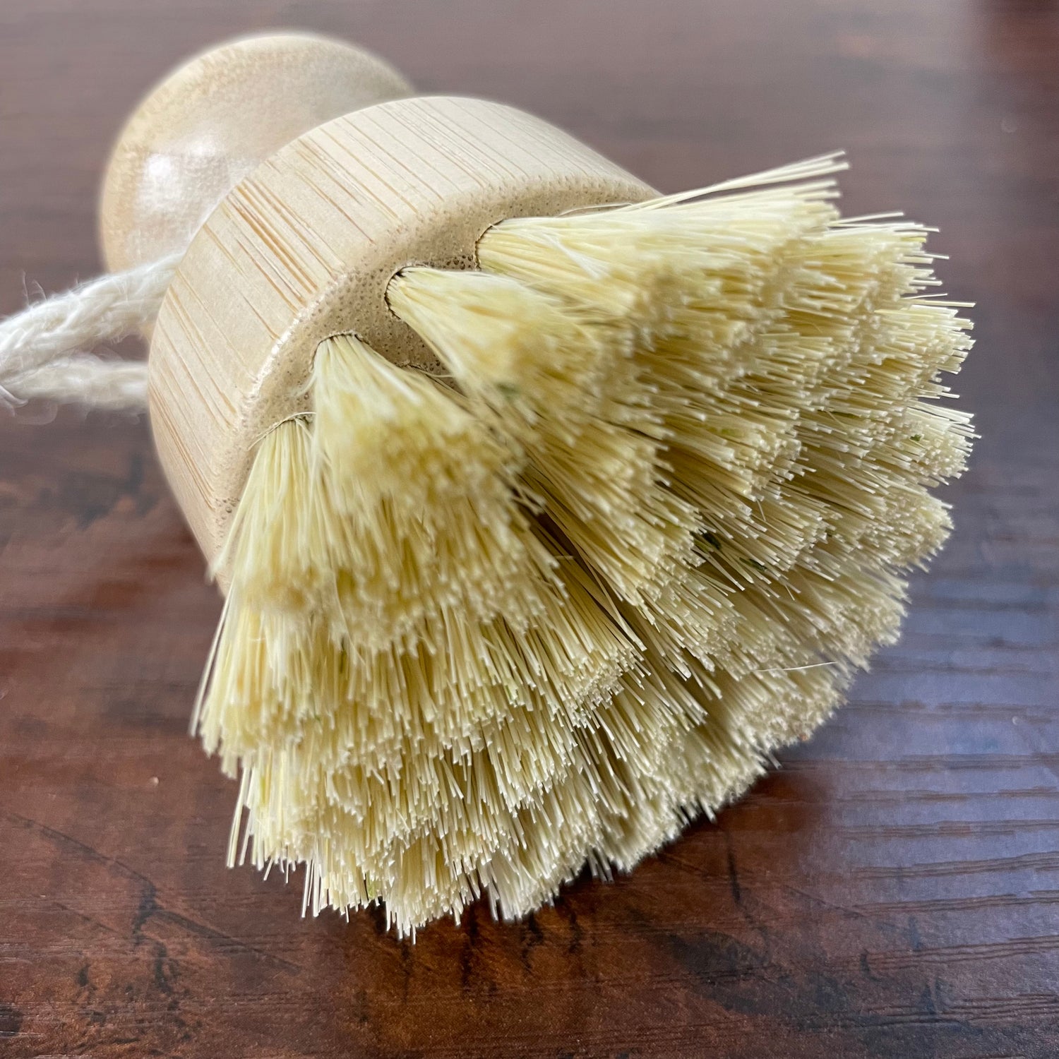 Kitchen Scrub Brushes