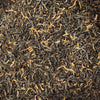 Ancient Forest Black Tea (Camellia sinensis)