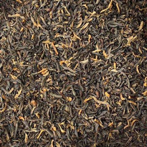 Ancient Forest Black Tea (Camellia sinensis)