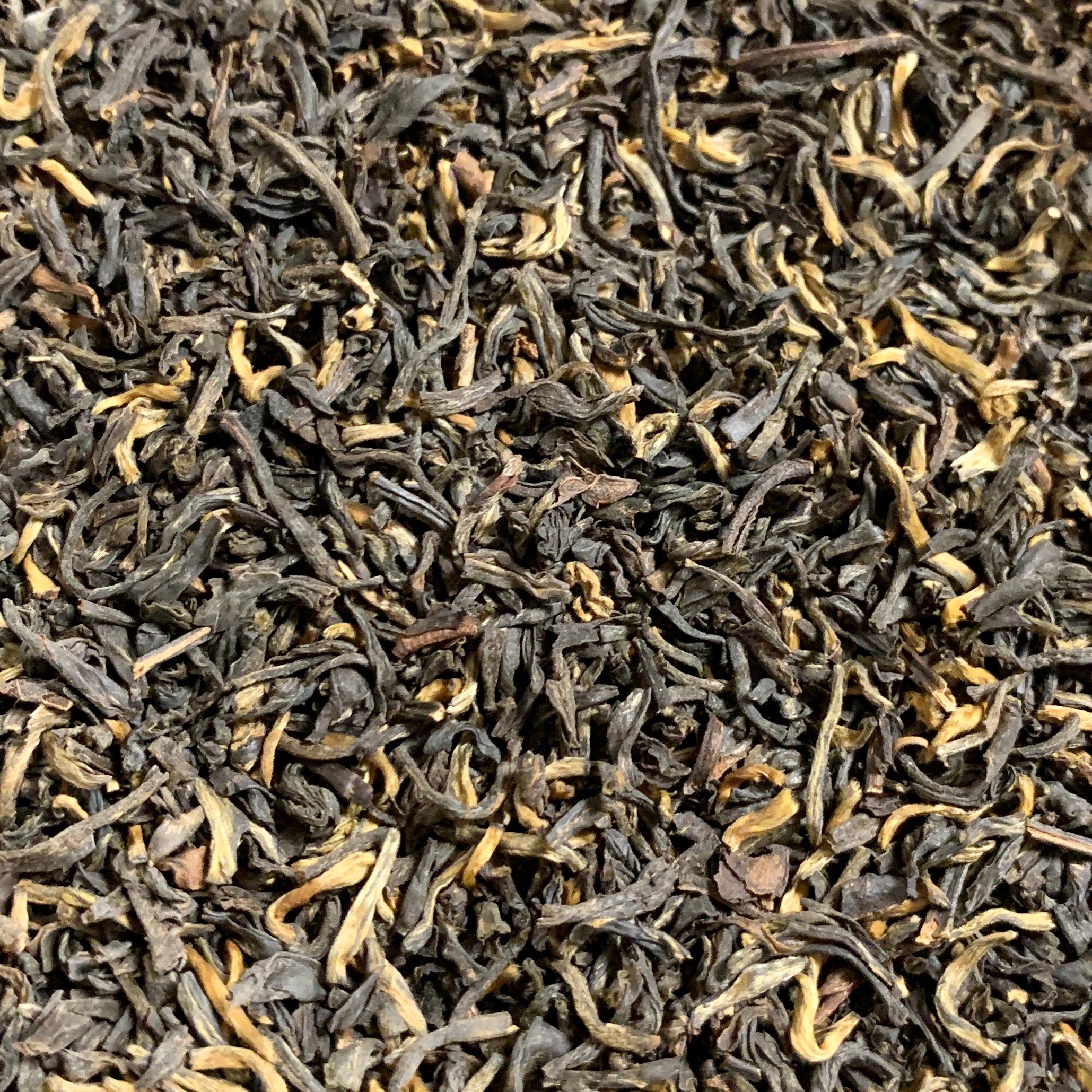Ancient Forest Black Tea (Camellia sinensis)