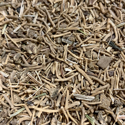 Valerian (Valeriana officinalis)