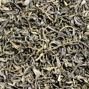 Spring Green Tea (Camellia sinensis)
