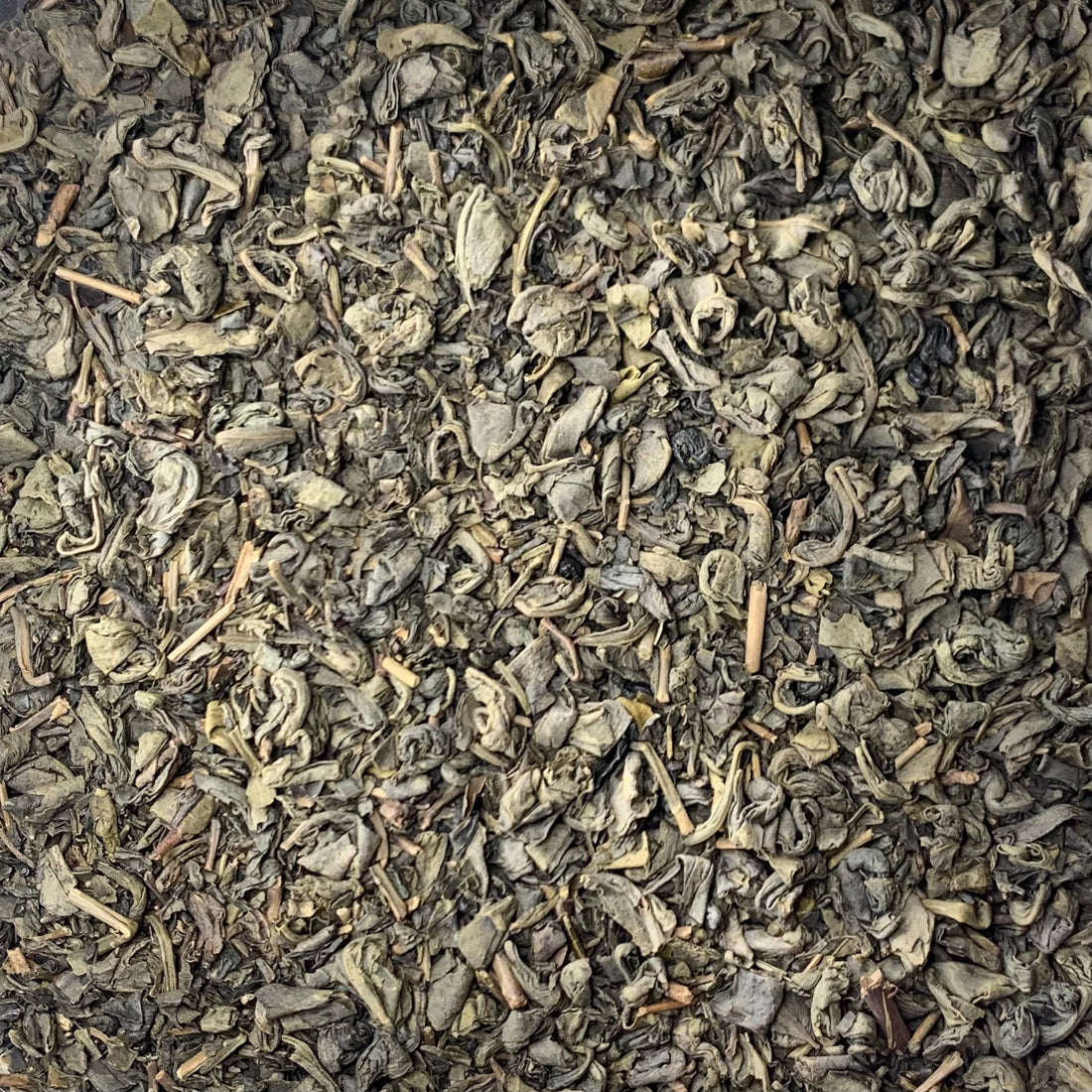 Gunpowder Green Tea (Camellia sinensis)